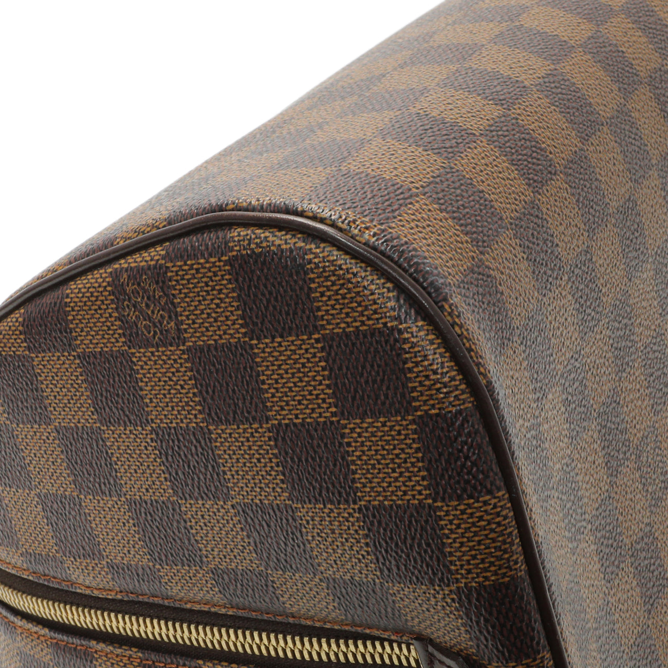 Exclusive Louis Vuitton Damier Ebene Ribera MM — Lifestyle View