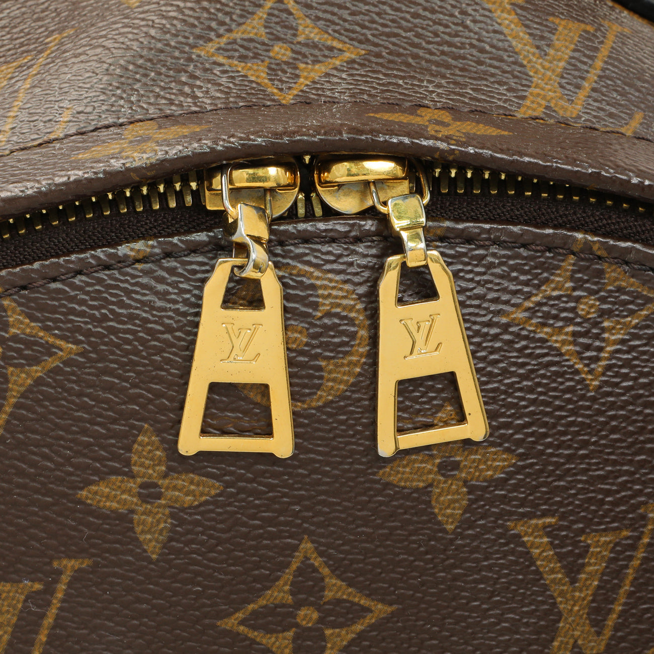 Exclusive Louis Vuitton Monogram Palm Springs Backpack MM — Alternate View 14