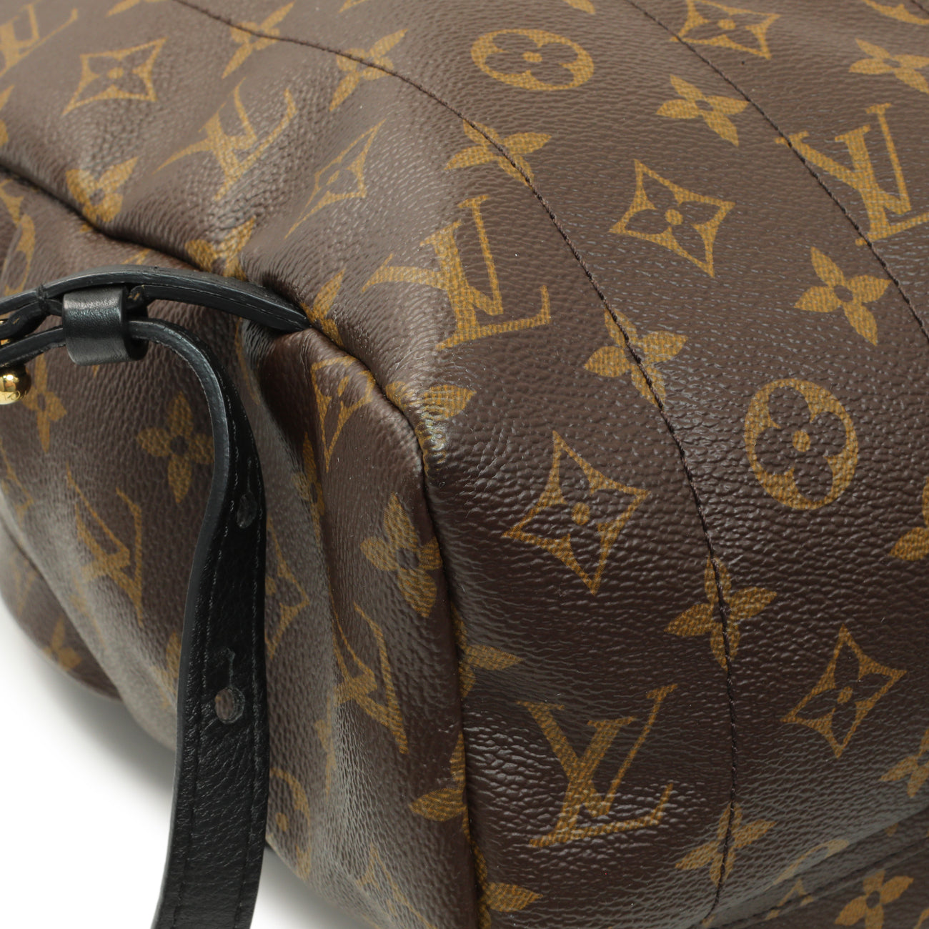 Exclusive Louis Vuitton Monogram Palm Springs Backpack MM — Lifestyle View
