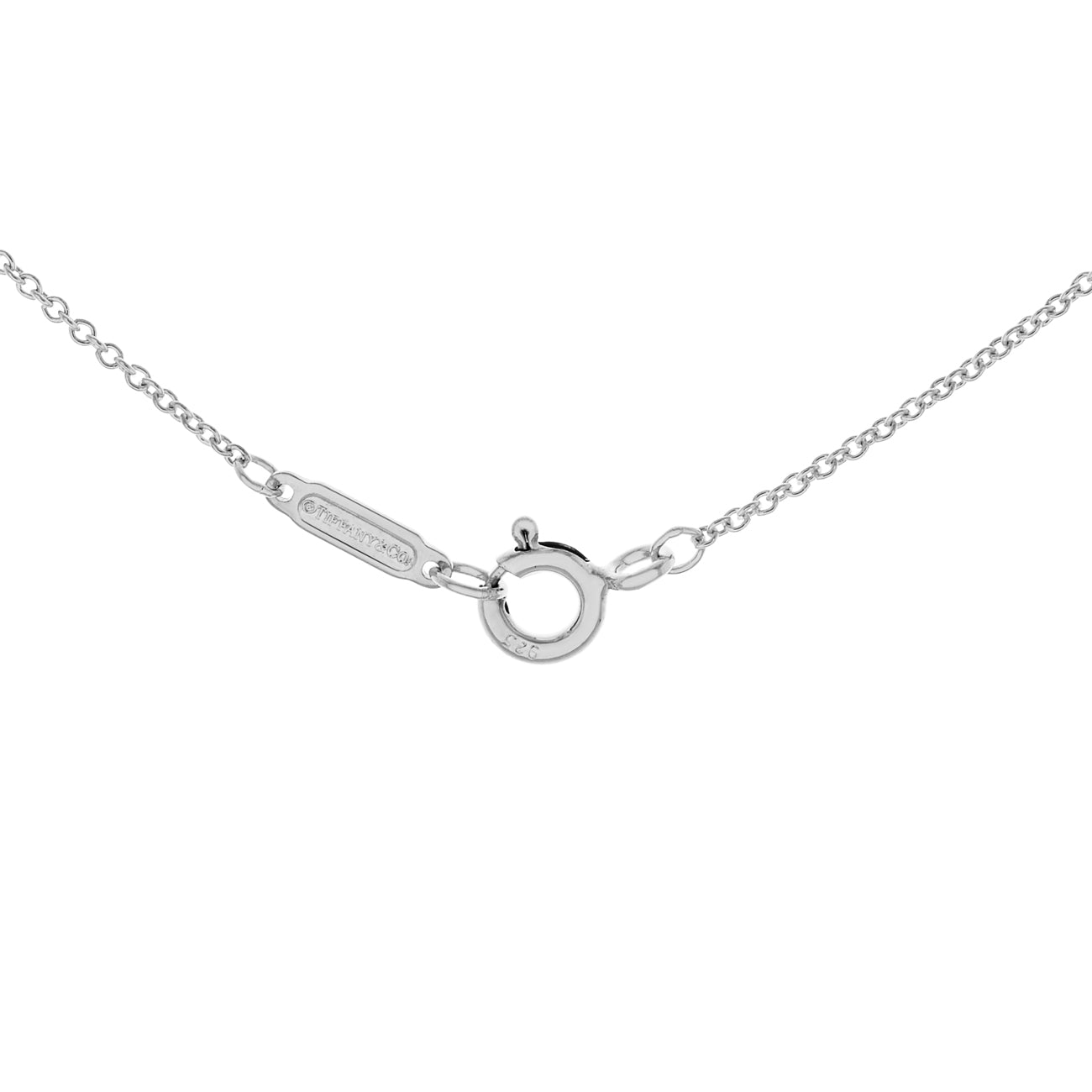 Exclusive Tiffany & Co. Sterling Silver Filigree Heart Lock & Key Necklace — Back View