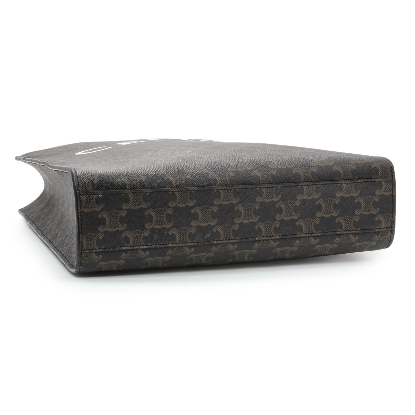 Exclusive Celine Triomphe Canvas Small Vertical Cabas — Back View