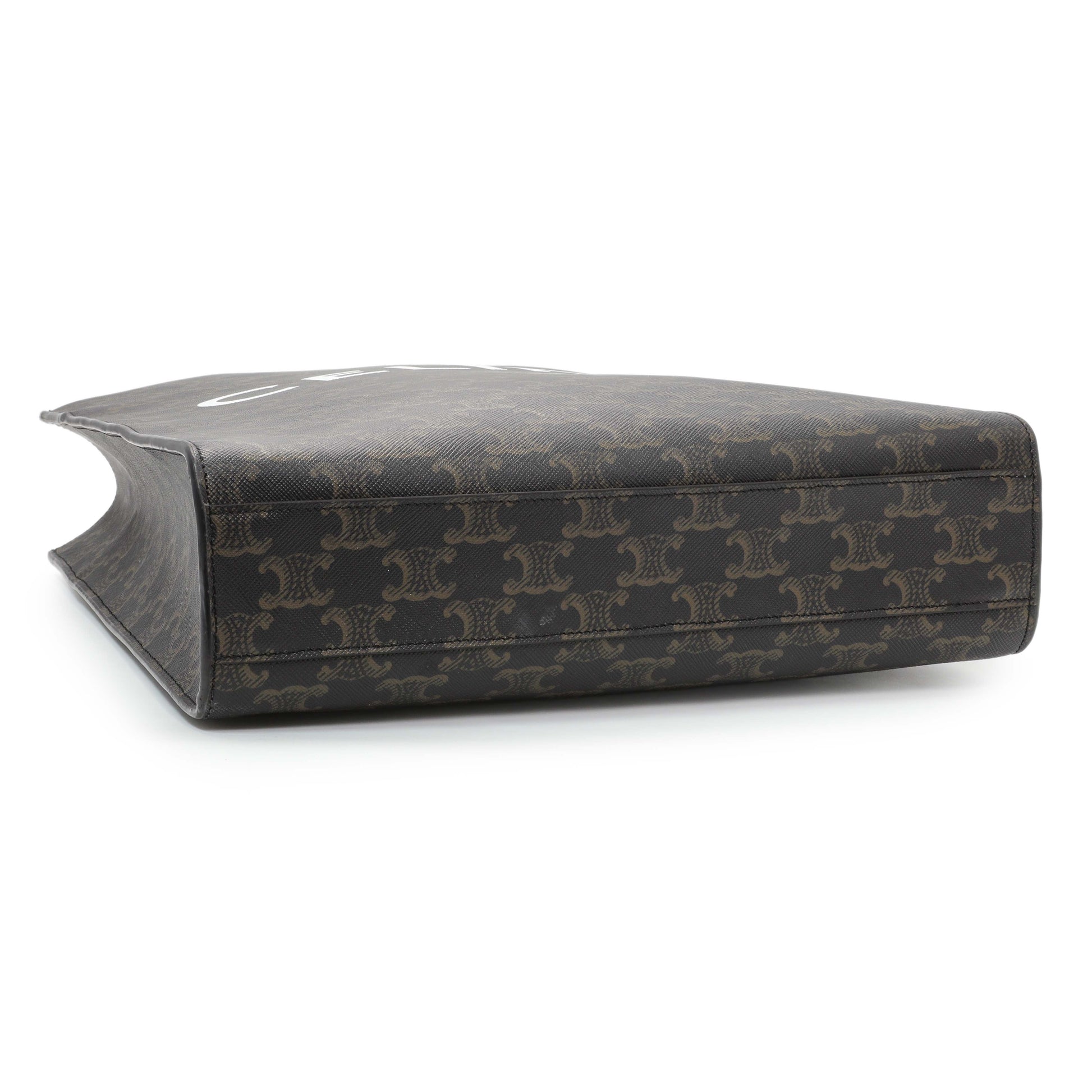 Exclusive Celine Triomphe Canvas Small Vertical Cabas — Back View