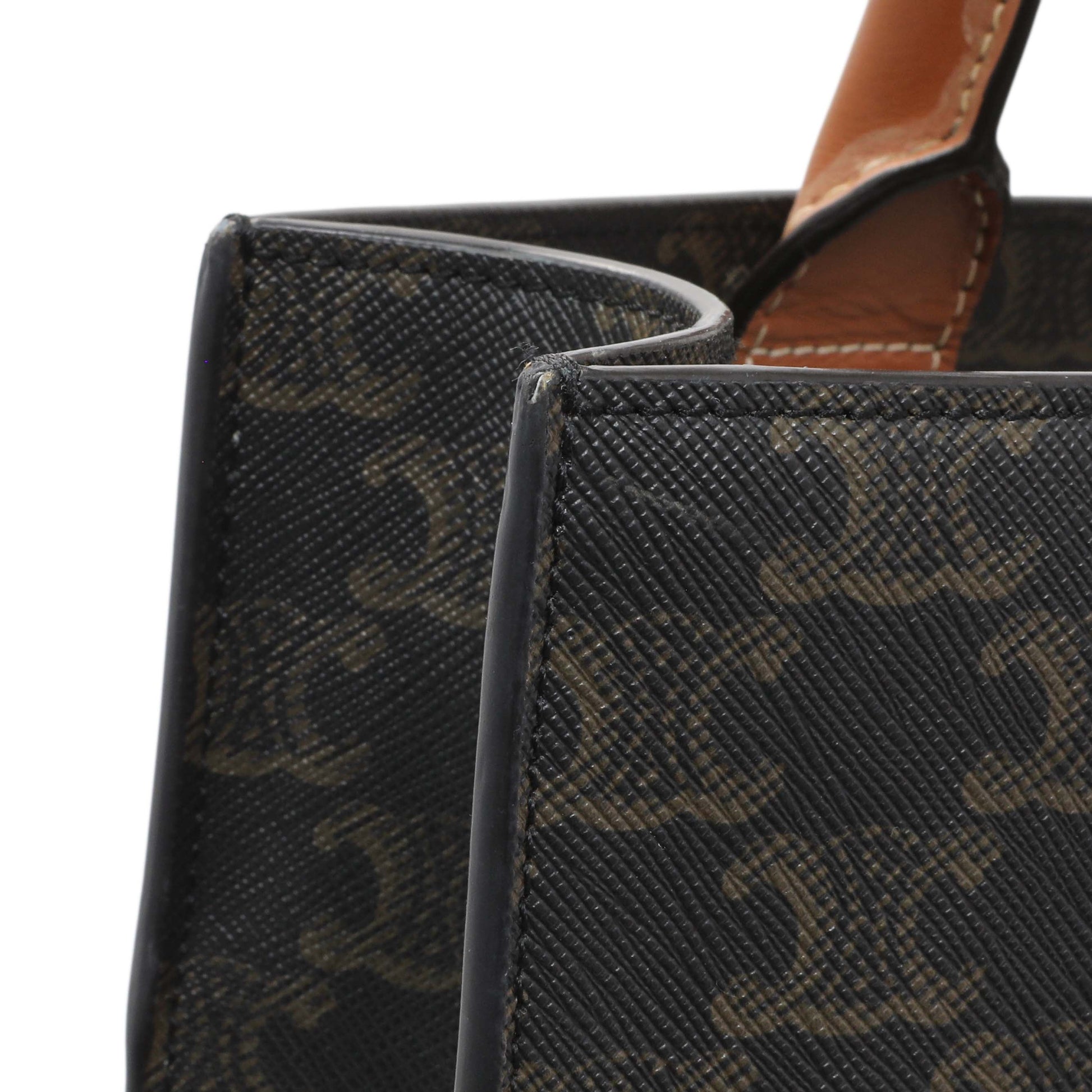 Exclusive Celine Triomphe Canvas Small Vertical Cabas — Alternate View 10