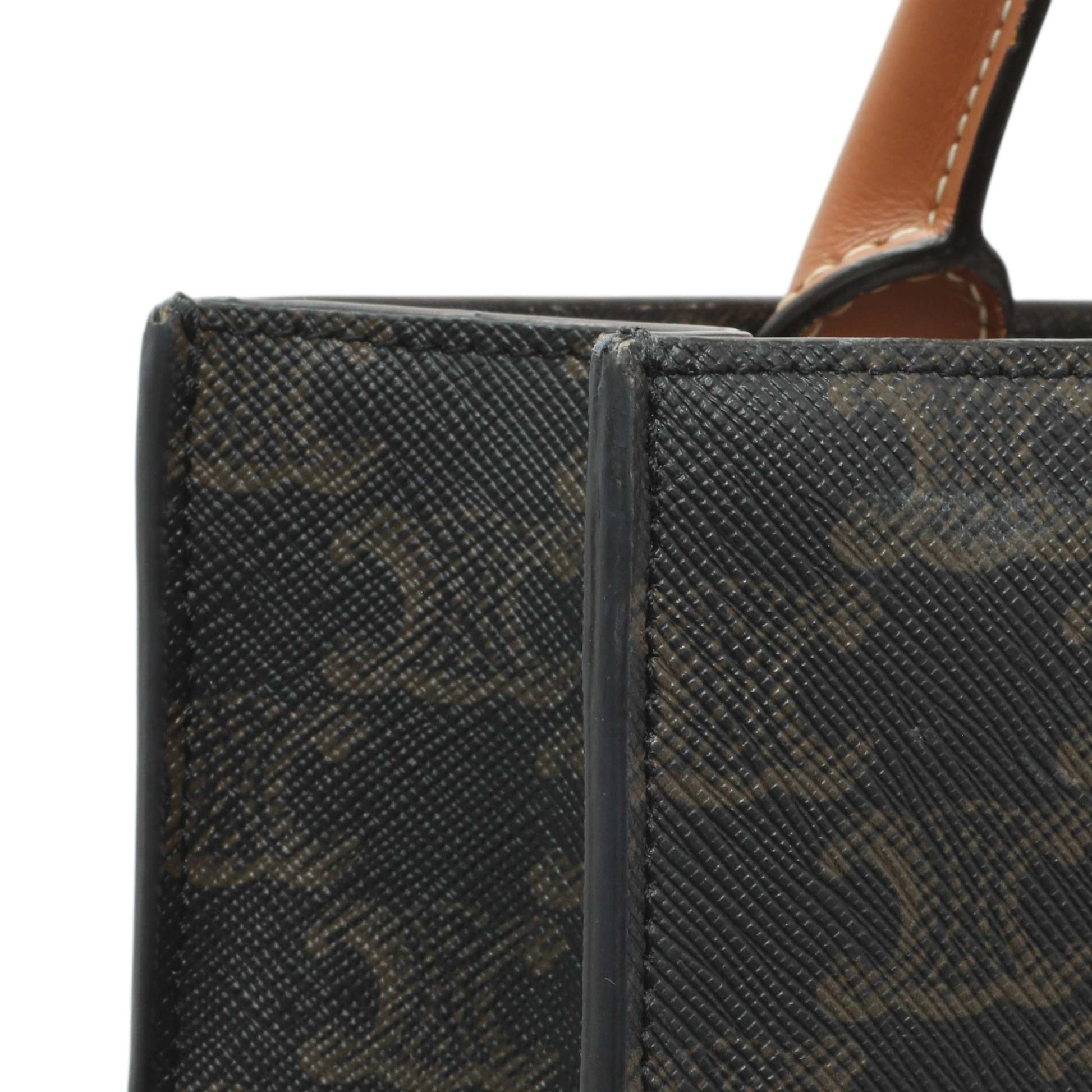 Exclusive Celine Triomphe Canvas Small Vertical Cabas — Alternate View 11