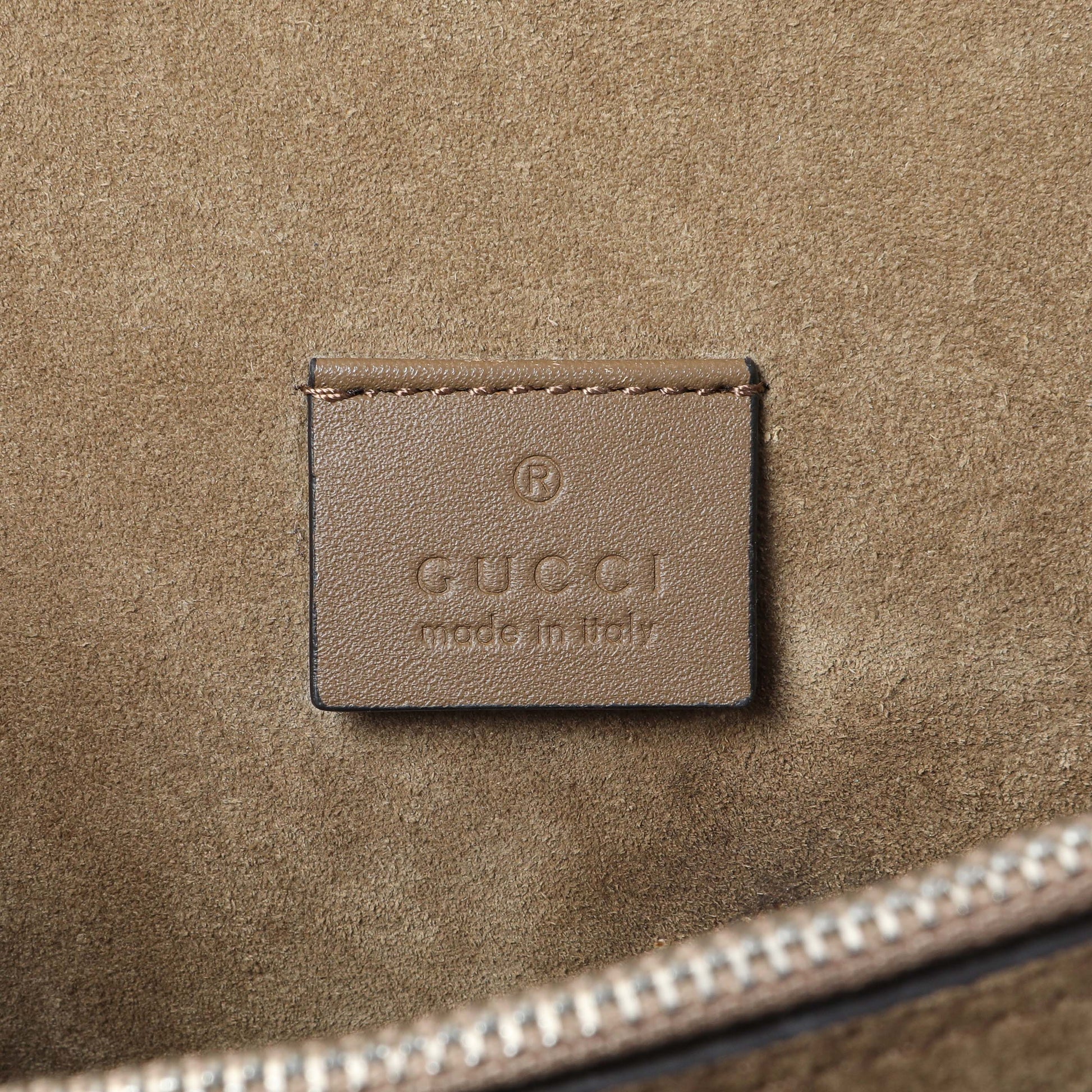 Exclusive Gucci Supreme Canvas Dionysus Flap Small — Alternate View 9