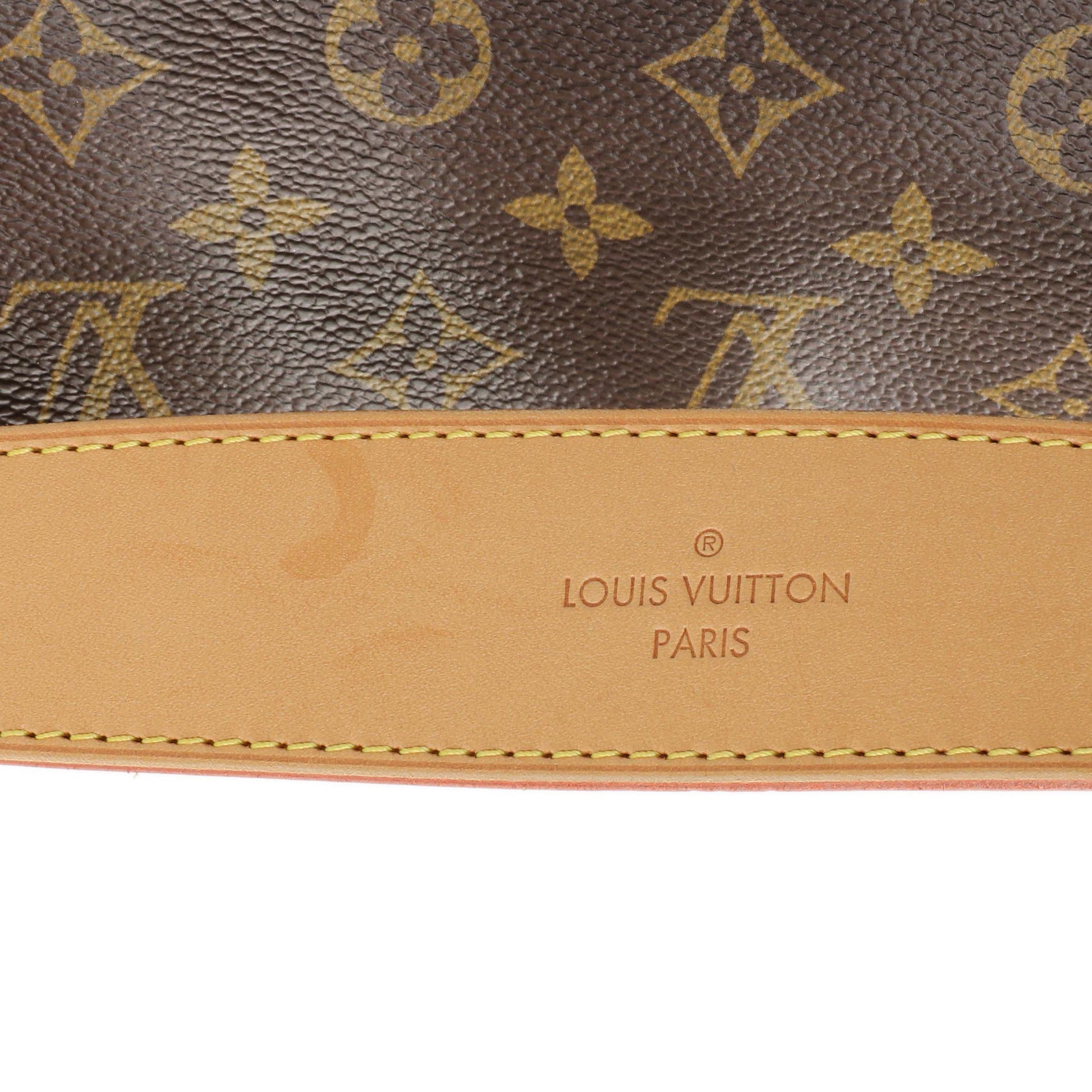 Exclusive Louis Vuitton Monogram Delightful MM — Alternate View 7