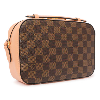 Exclusive Louis Vuitton Damier Ebene Venus Santa Monica — Back View