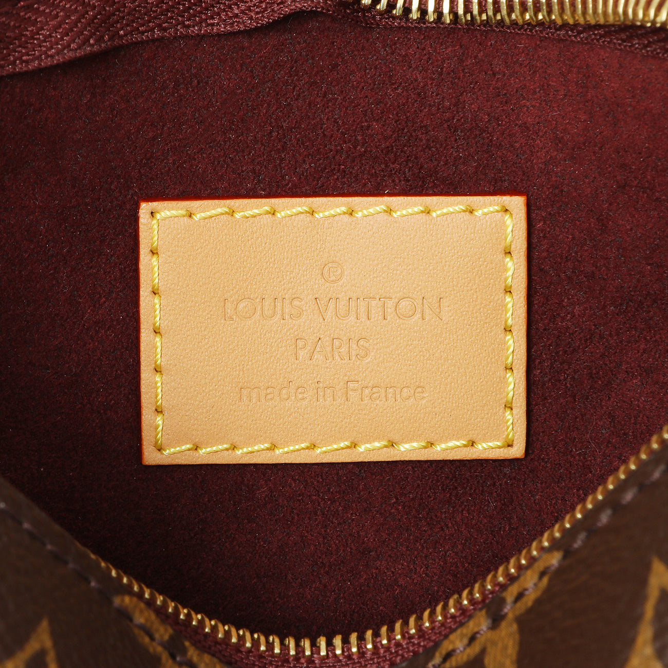 Exclusive Louis Vuitton Monogram CarryAll PM — Lifestyle View