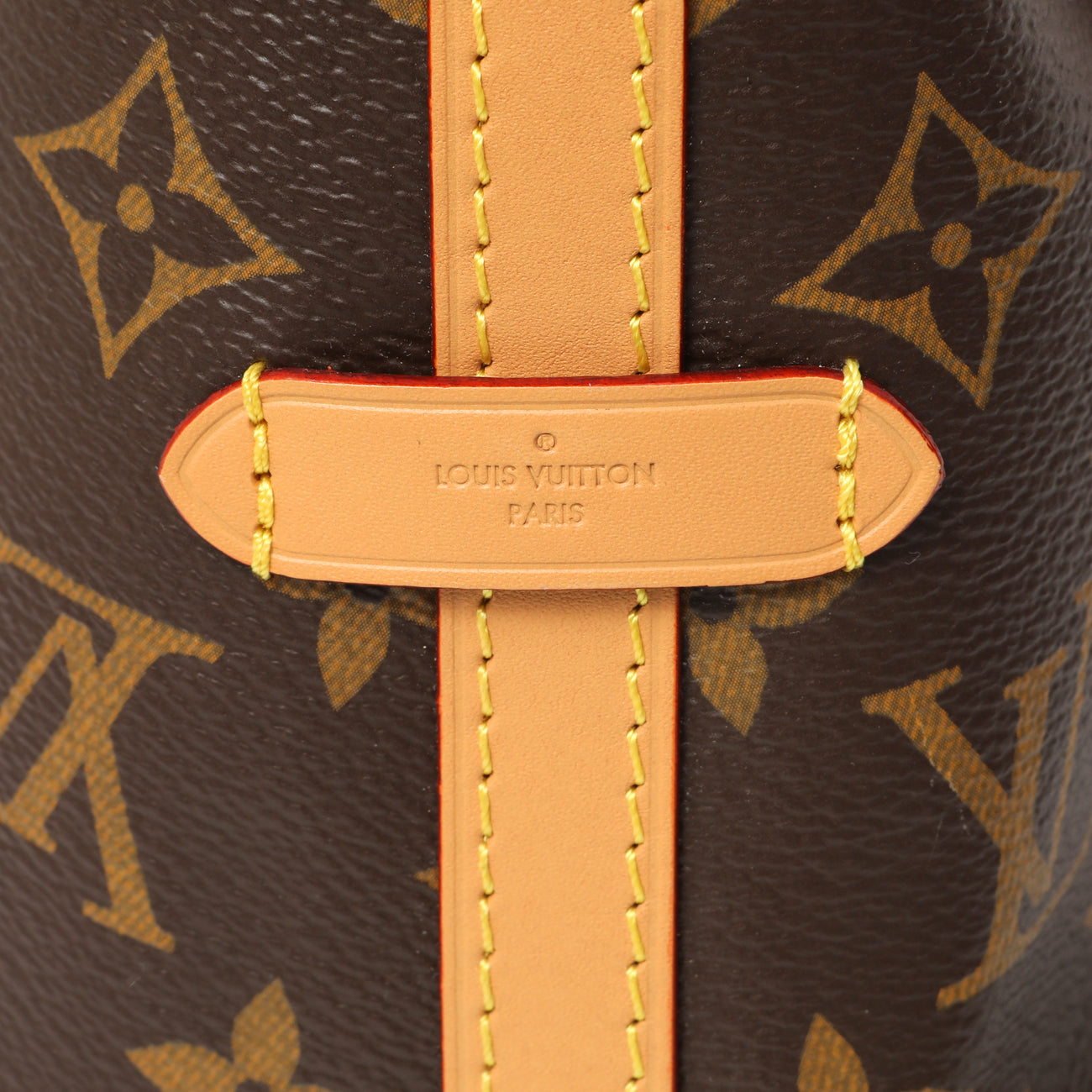 Exclusive Louis Vuitton Monogram CarryAll PM — Alternate View 8