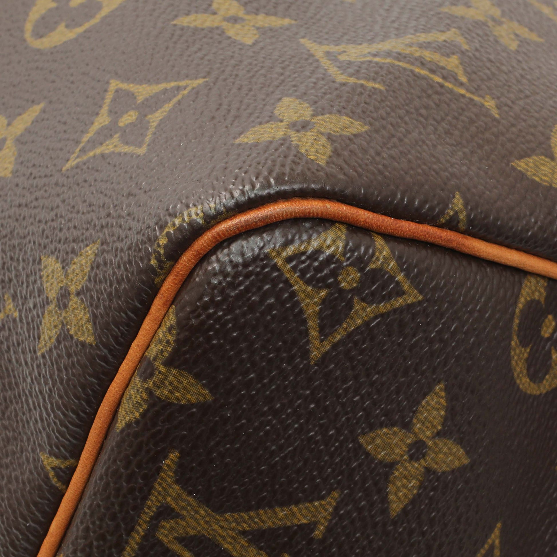 Exclusive Louis Vuitton Monogram Speedy 30 — Detail View