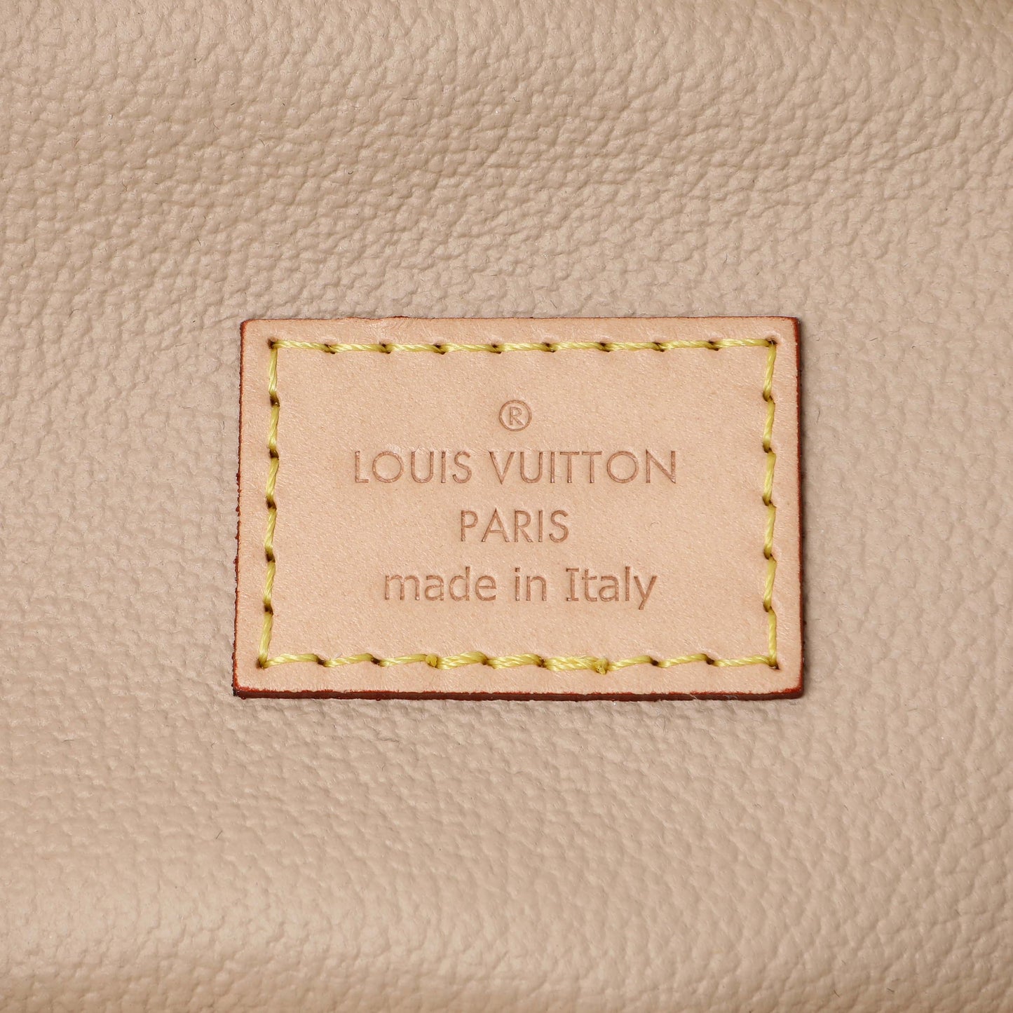 Exclusive Louis Vuitton Monogram Nano Nice — Detail View