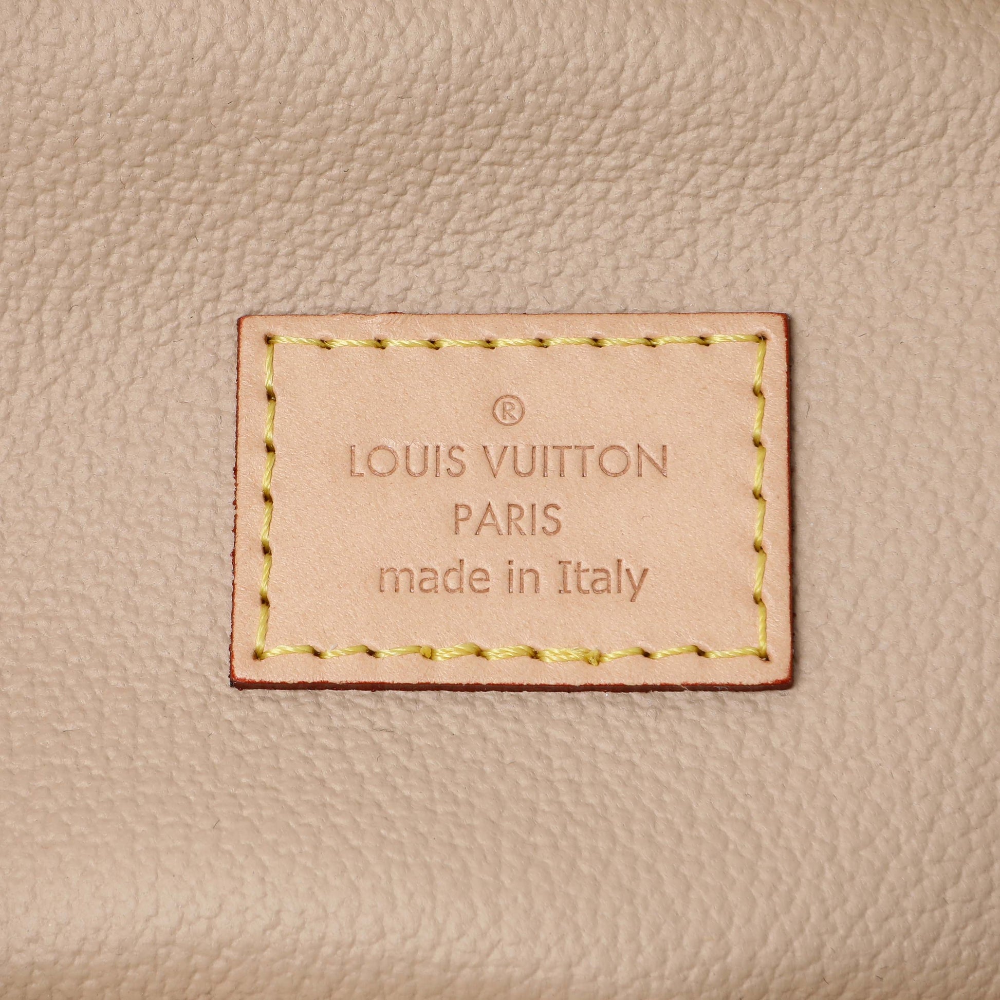 Exclusive Louis Vuitton Monogram Nano Nice — Detail View