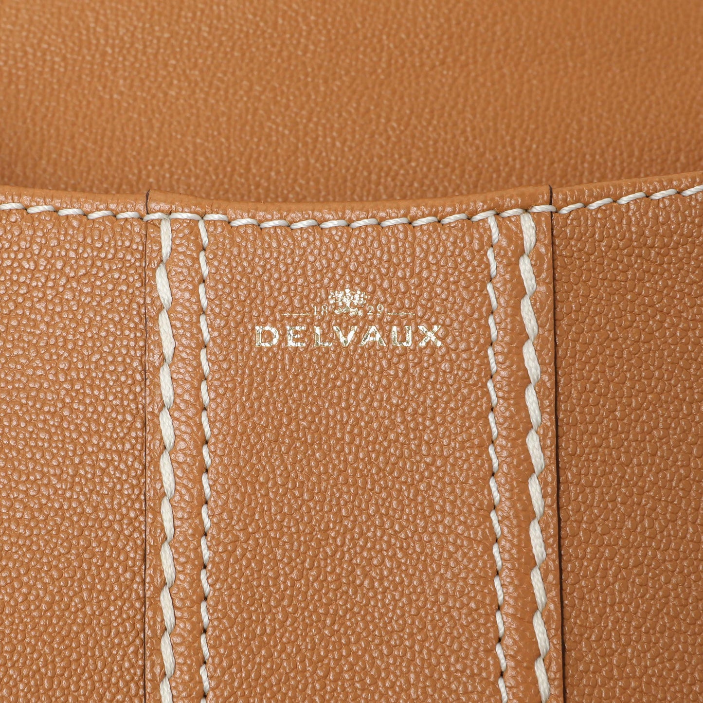 Exclusive Delvaux Vegetal Grained Rodeo Calfskin Brillant Mini Surpiqué — Detail View