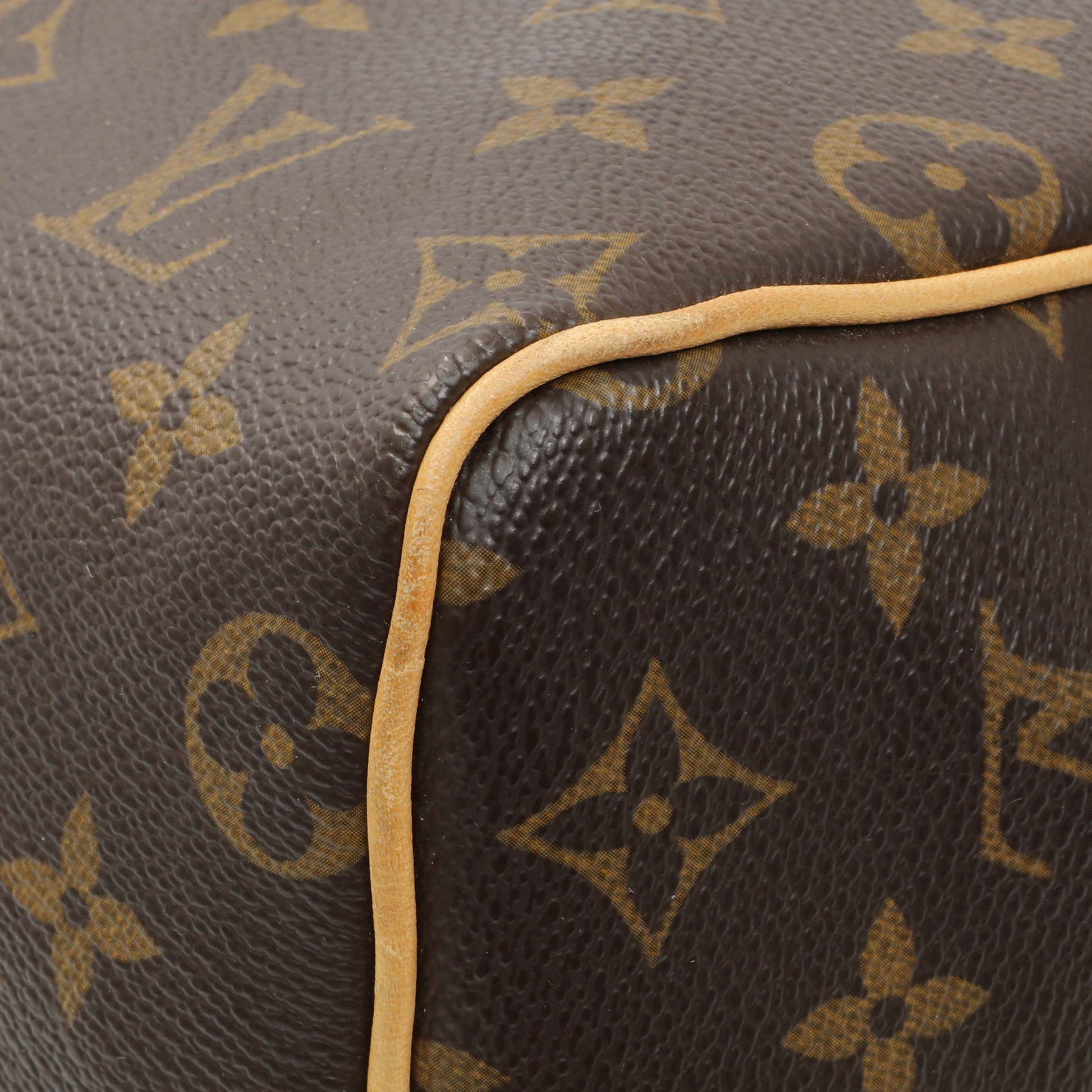 Exclusive Louis Vuitton Monogram Speedy 25 — Detail View