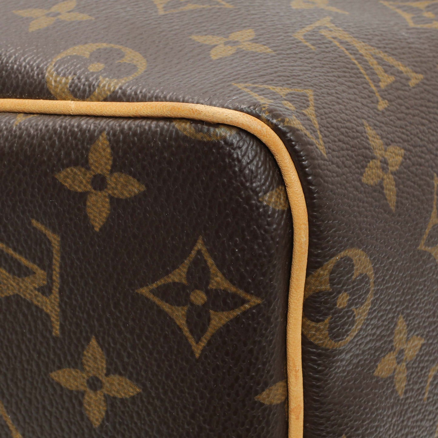 Exclusive Louis Vuitton Monogram Speedy 25 — Lifestyle View