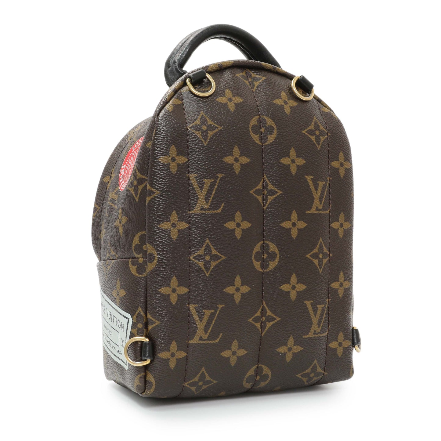 Exclusive Louis Vuitton Monogram My World Tour Palm Springs Backpack Mini — Back View