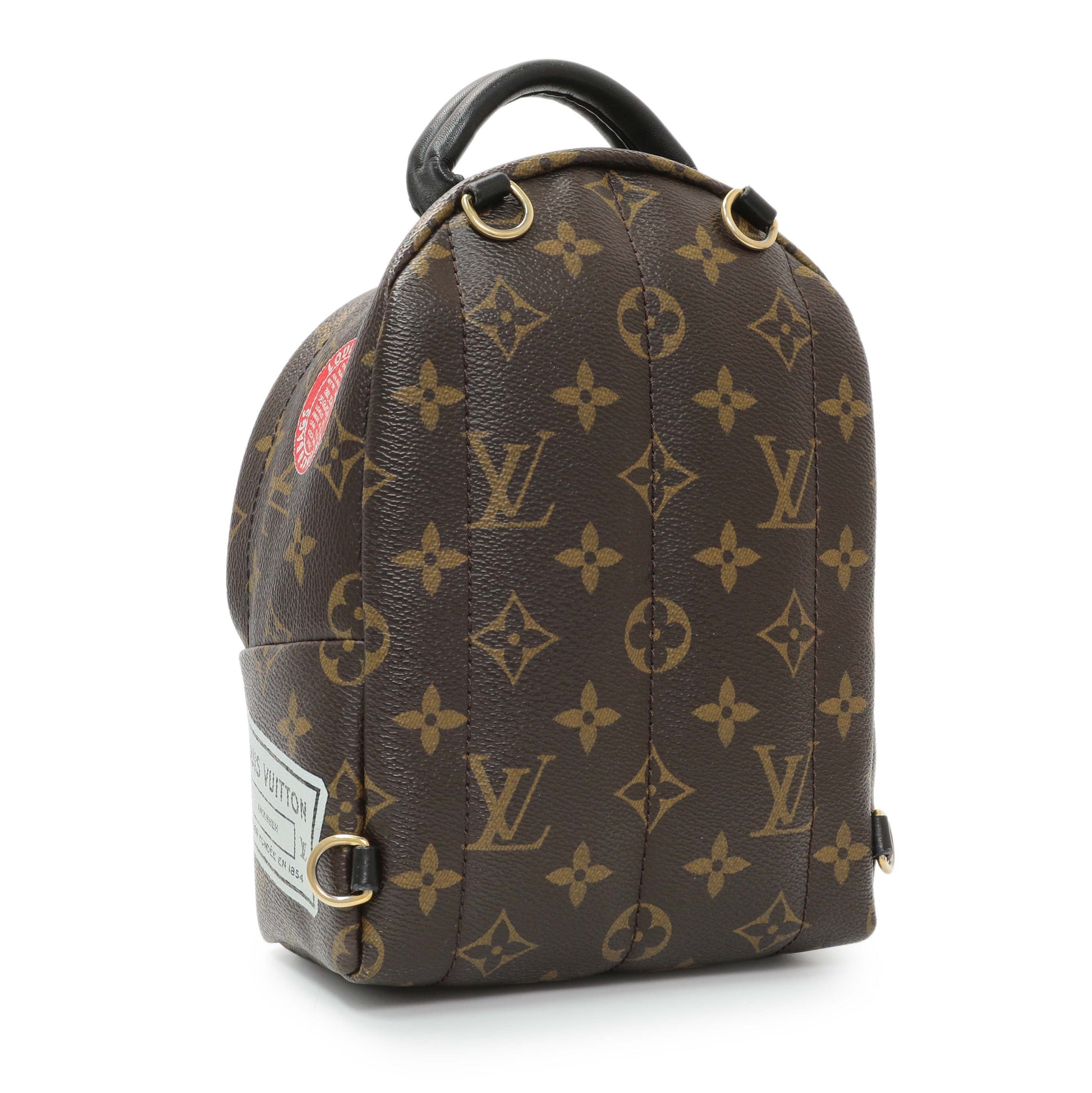 Exclusive Louis Vuitton Monogram My World Tour Palm Springs Backpack Mini — Back View