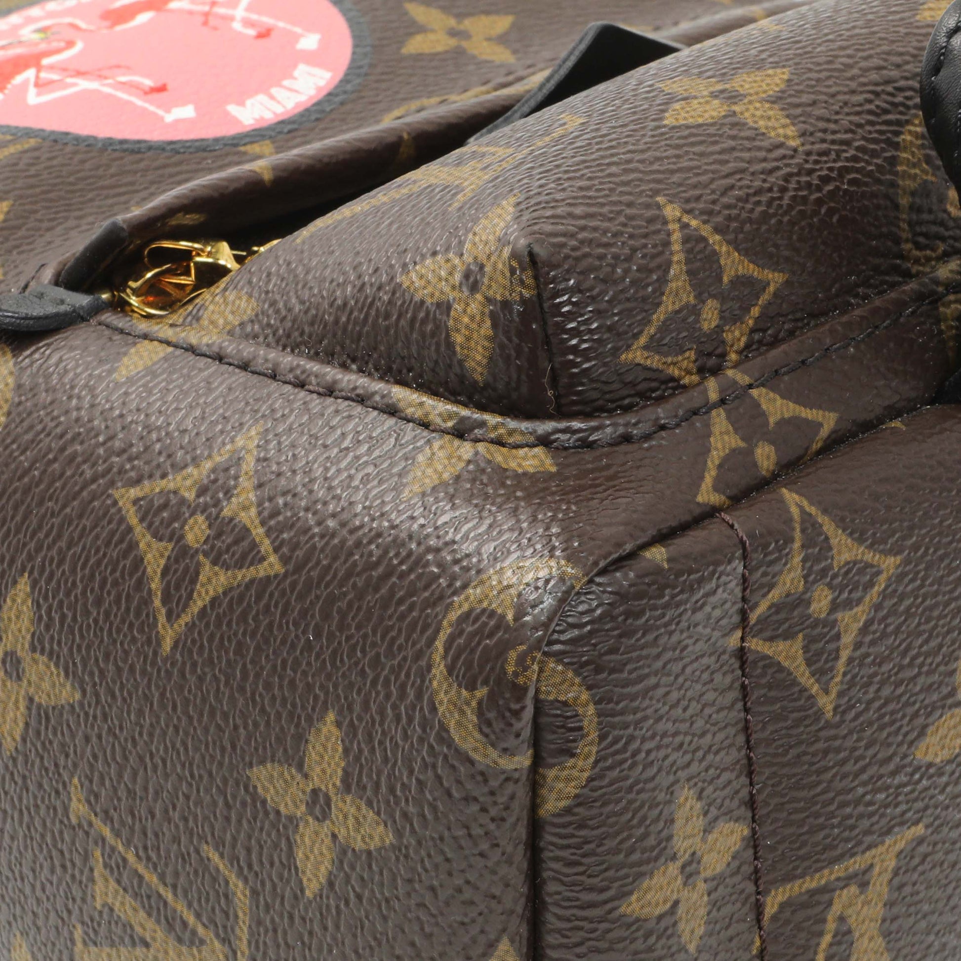 Exclusive Louis Vuitton Monogram My World Tour Palm Springs Backpack Mini — Detail View