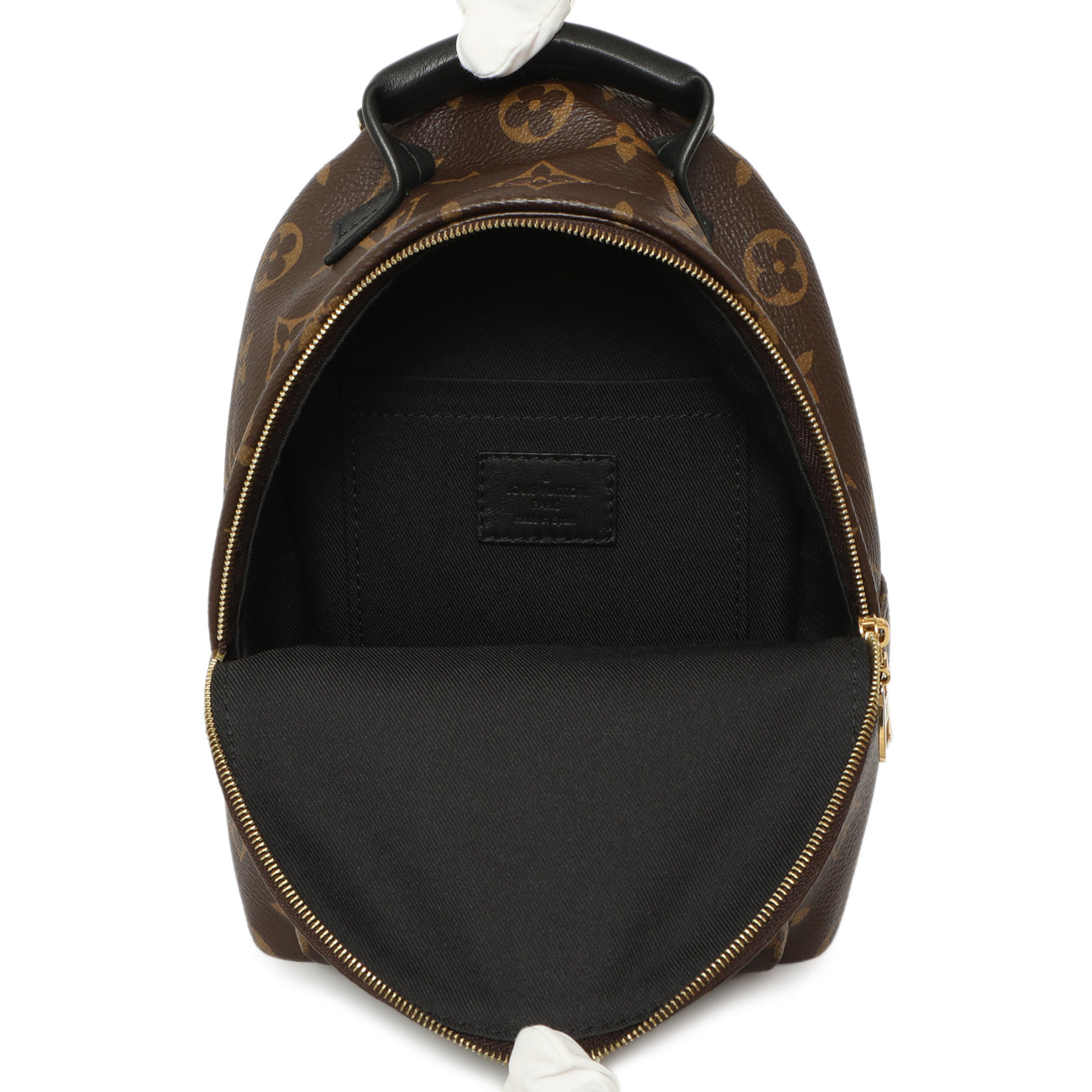 Exclusive Louis Vuitton Monogram Palm Springs Backpack Mini — Alternate View 8