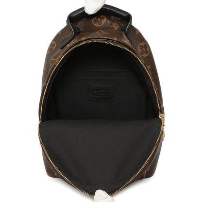 Exclusive Louis Vuitton Monogram Palm Springs Backpack Mini — Alternate View 8