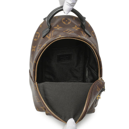 Exclusive Louis Vuitton Monogram Palm Springs Backpack Mini — Alternate View 8