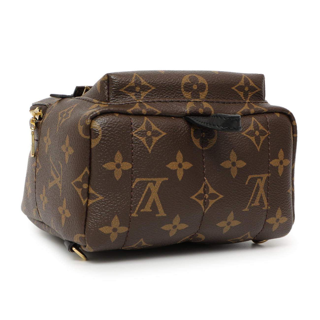 Exclusive Louis Vuitton Monogram Palm Springs Backpack Mini — Back View
