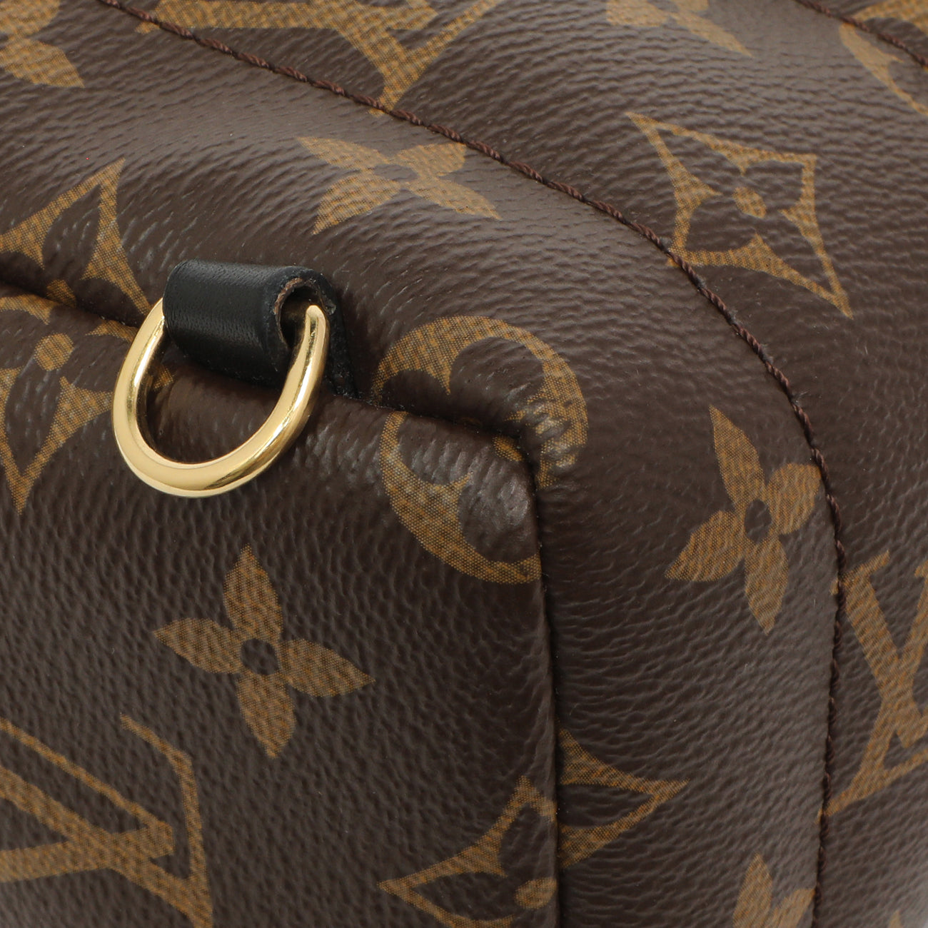 Exclusive Louis Vuitton Monogram Palm Springs Backpack Mini — Lifestyle View