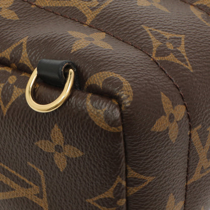 Exclusive Louis Vuitton Monogram Palm Springs Backpack Mini — Lifestyle View