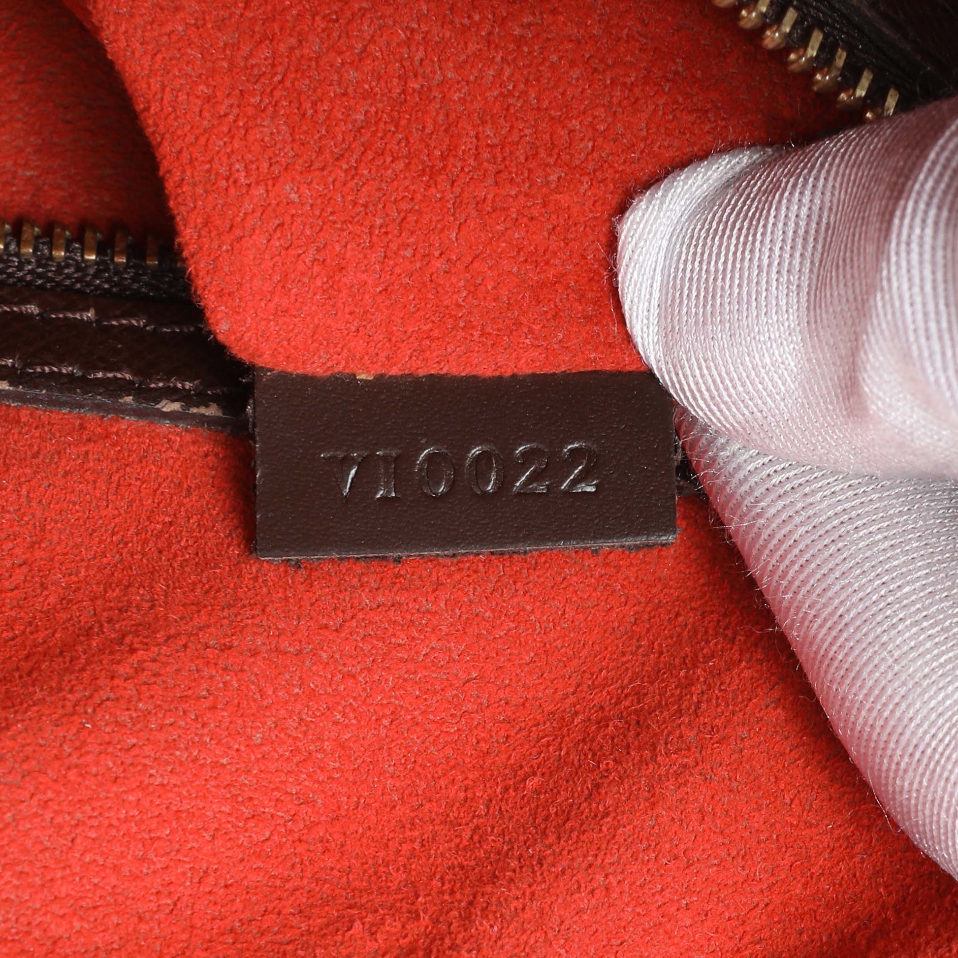 Exclusive Louis Vuitton Damier Ebene Triana Bag — Lifestyle View