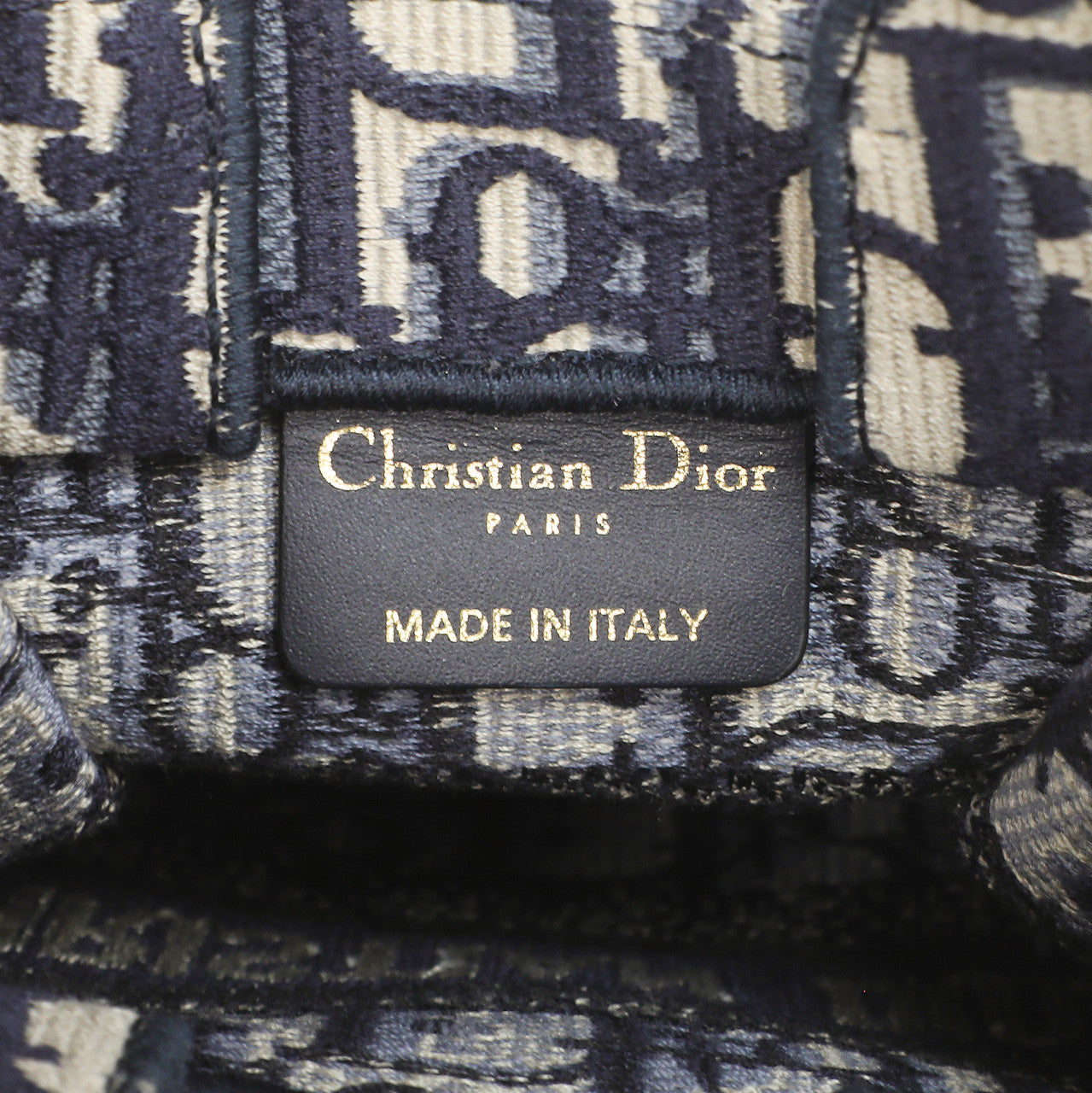 Exclusive Christian Dior Blue Oblique Mini Book Tote Phone Bag — Lifestyle View