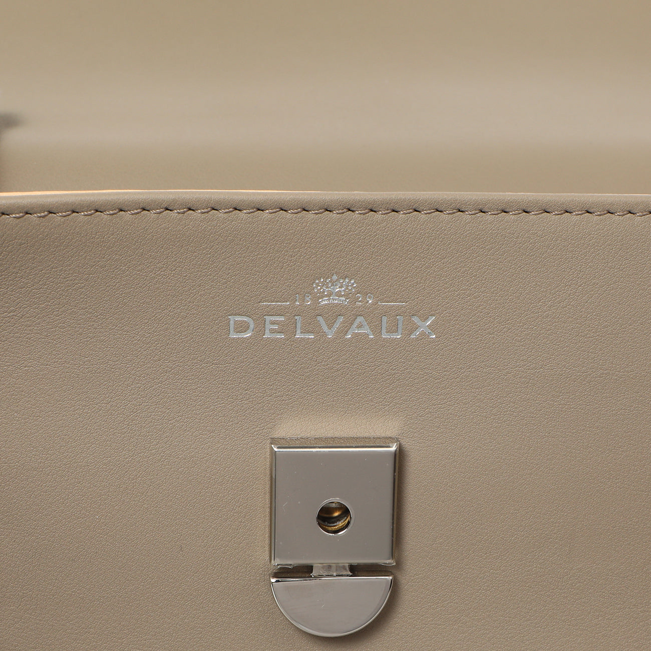 Exclusive Delvaux Taupe Calfskin Tempete MM — Detail View