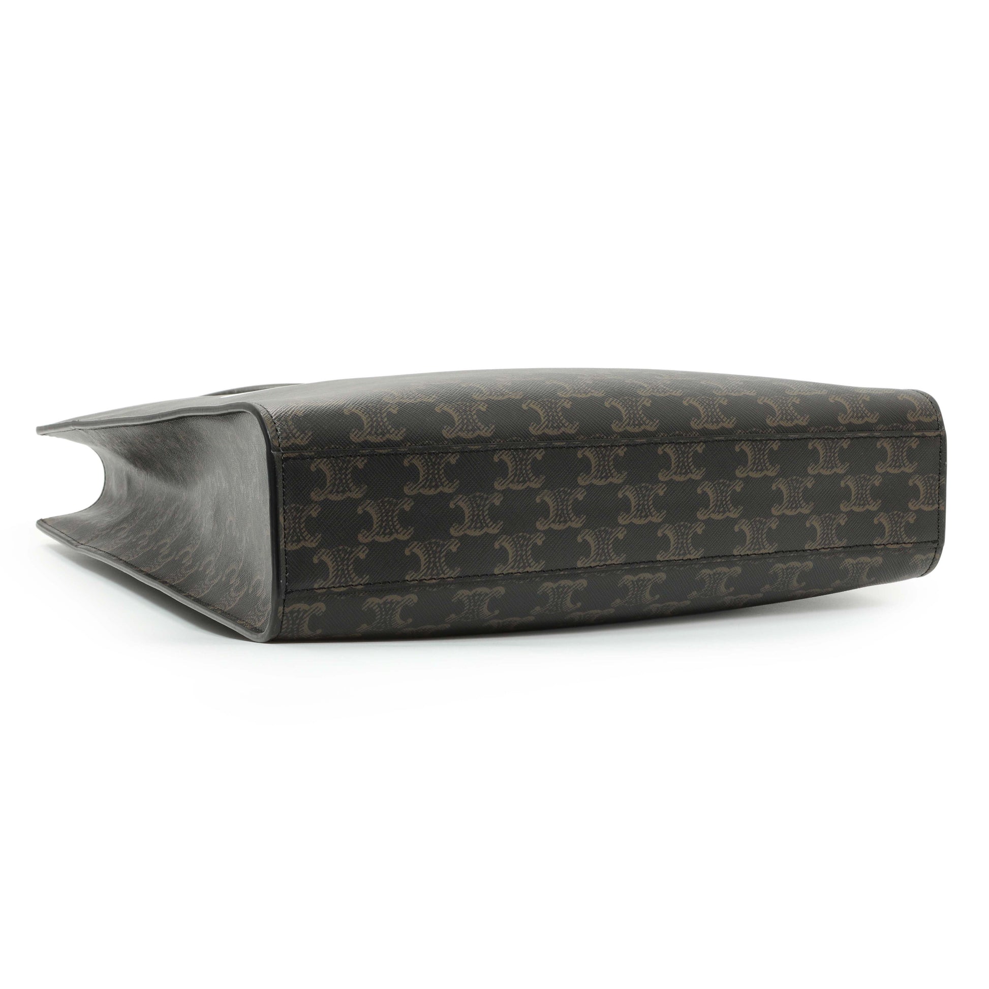 Exclusive Celine Triomphe Canvas Calfskin Medium Vertical Cabas — Back View