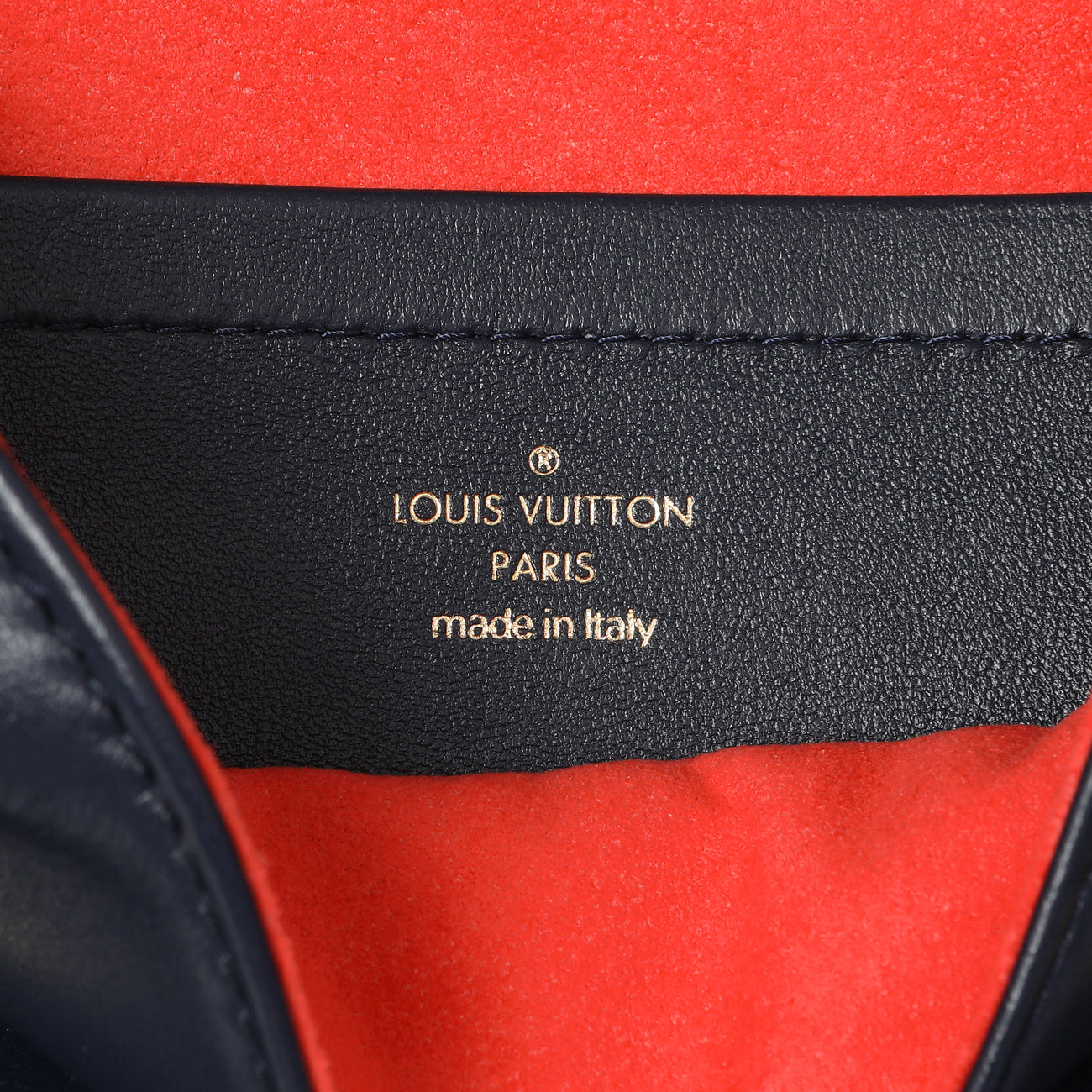 Exclusive Louis Vuitton Navy LV Garden Embossed Lambskin Pochette Coussin — Detail View