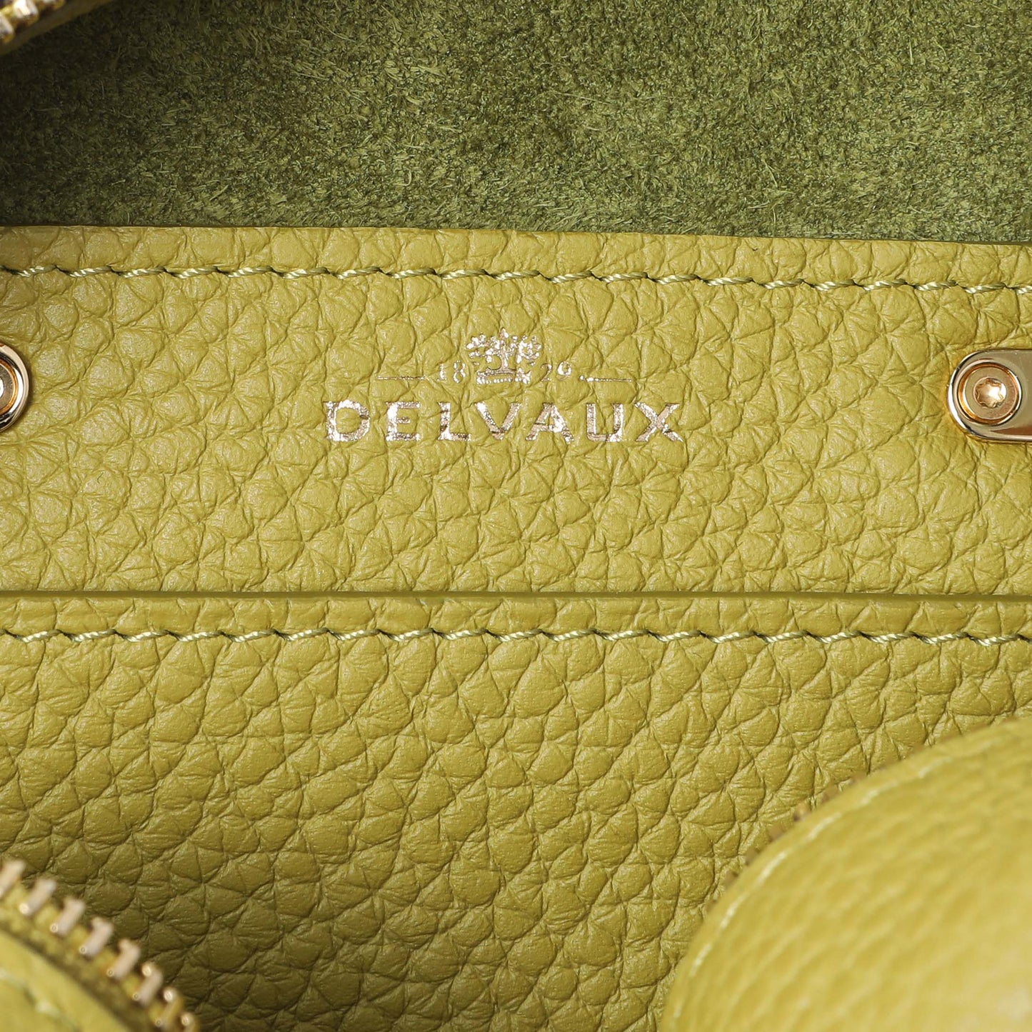 Exclusive Delvaux Kiwi Taurillon Soft Leather Cool Box Nano — Detail View