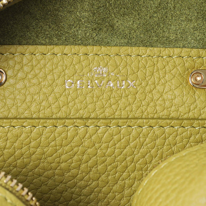 Exclusive Delvaux Kiwi Taurillon Soft Leather Cool Box Nano — Detail View