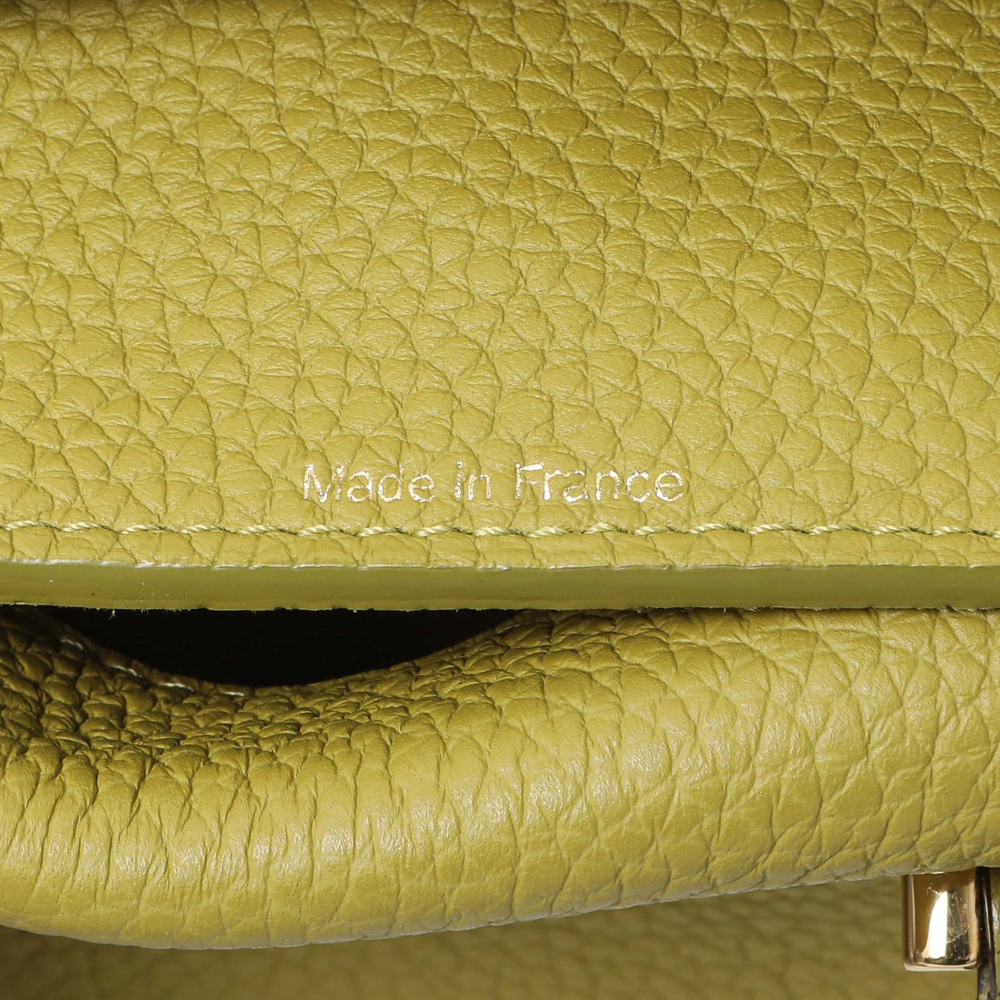 Exclusive Delvaux Kiwi Taurillon Soft Leather Cool Box Nano — Lifestyle View
