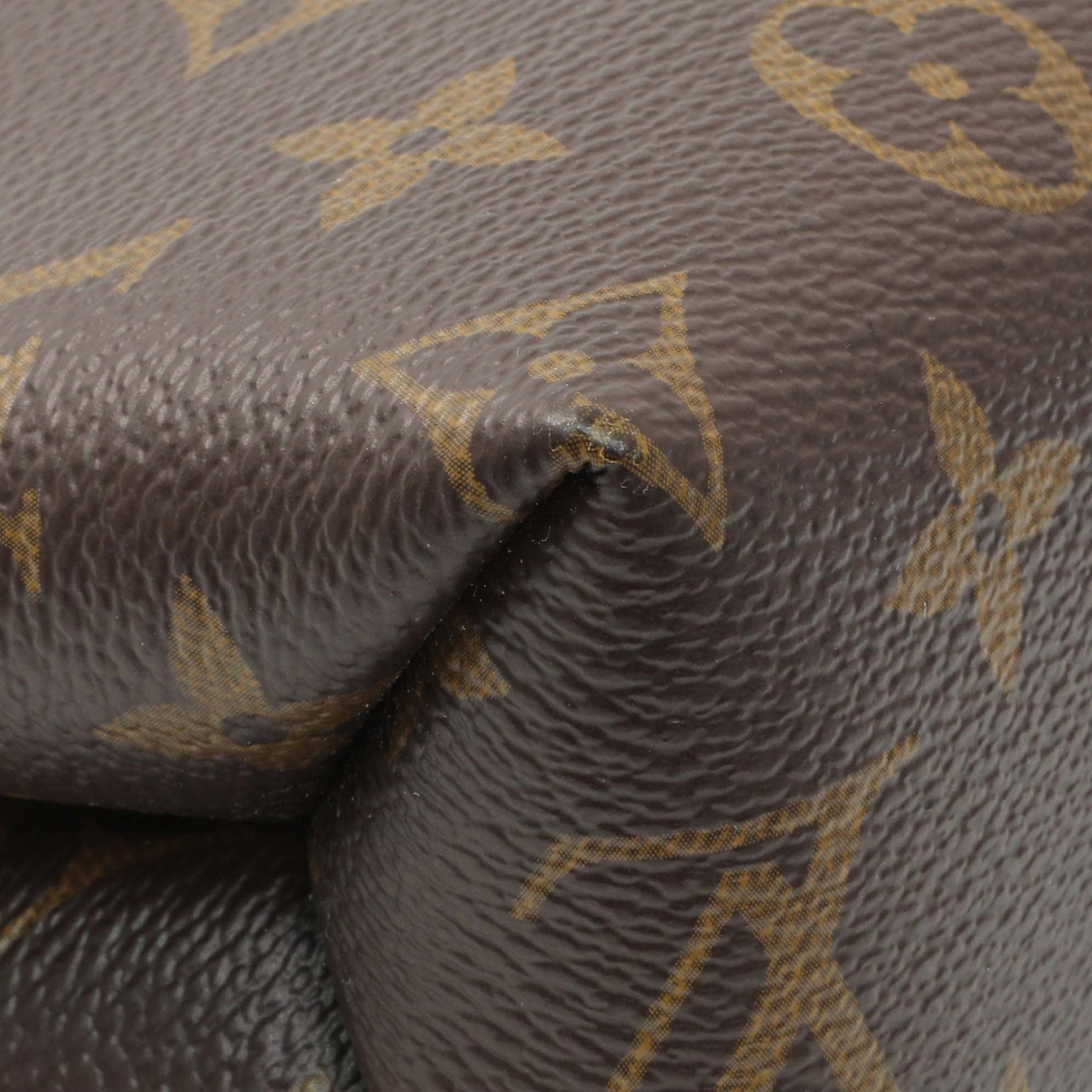 Exclusive Louis Vuitton Monogram Saint Placide — Lifestyle View