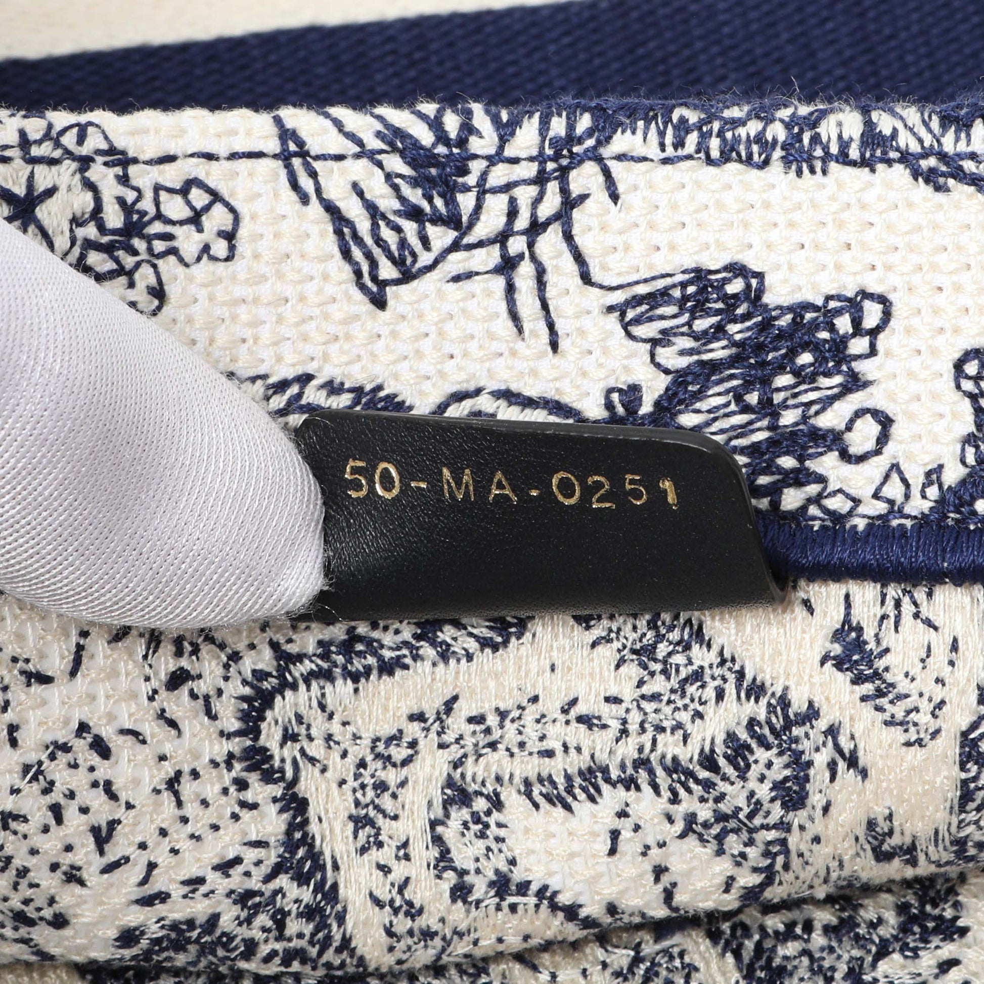 Exclusive Christian Dior Blue Dioriviera Reverse Striped Toile De Jouy Medium Book Tote — Lifestyle View