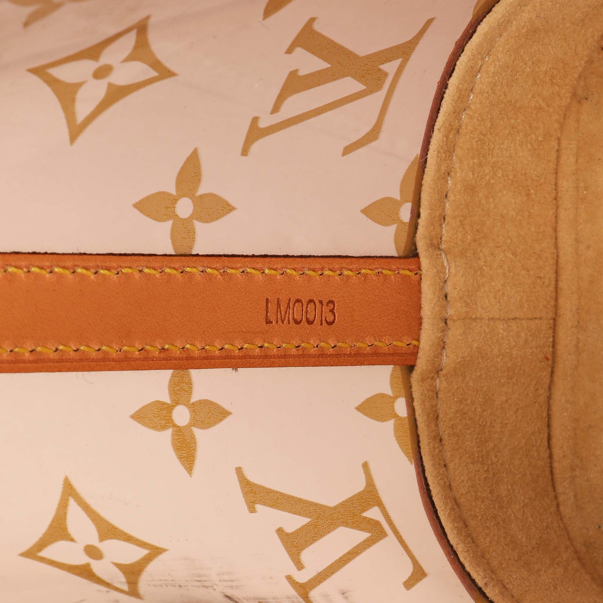 Exclusive Louis Vuitton Monogram Vinyl Cabas Ambre PM — Alternate View 10