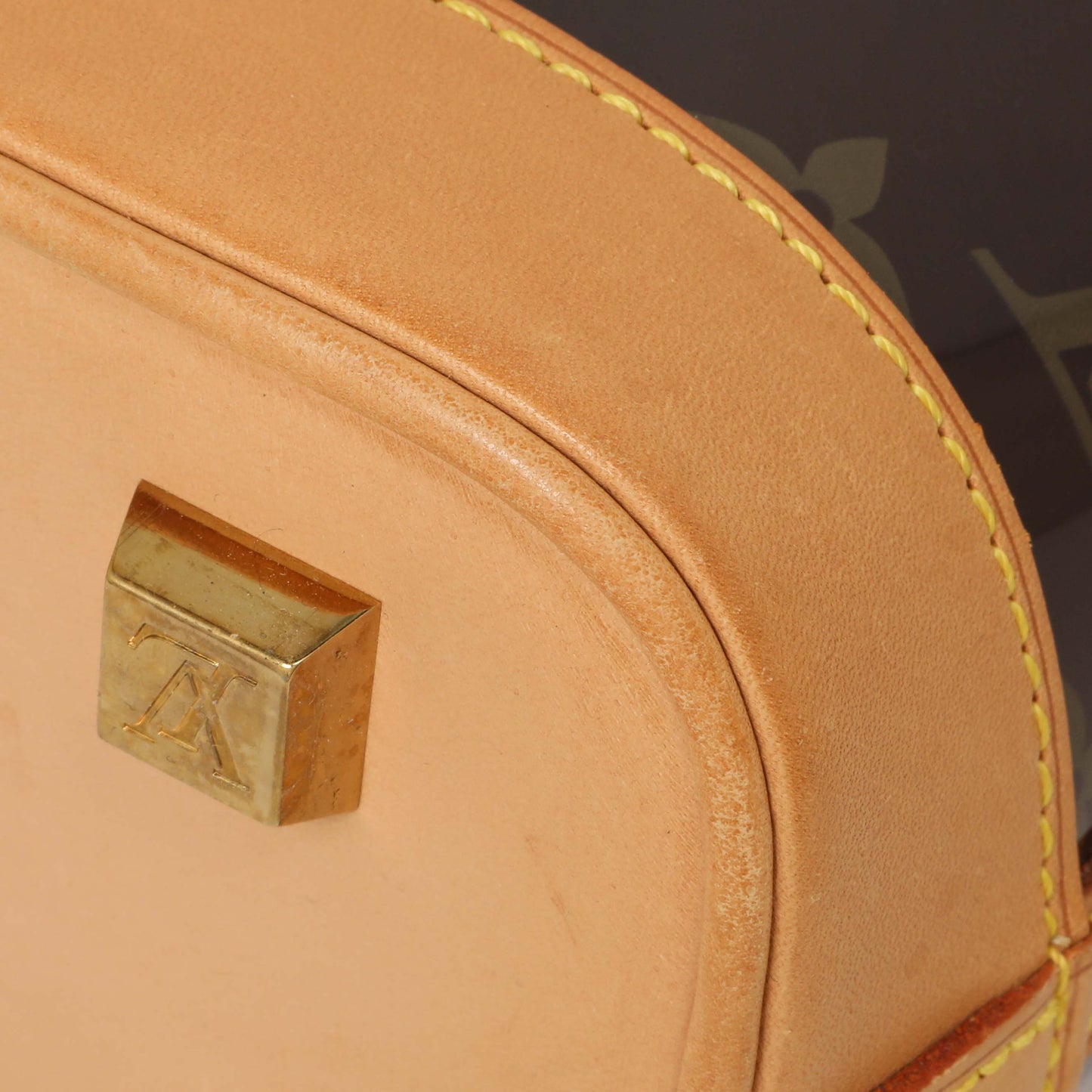 Exclusive Louis Vuitton Monogram Vinyl Cabas Ambre PM — Alternate View 7