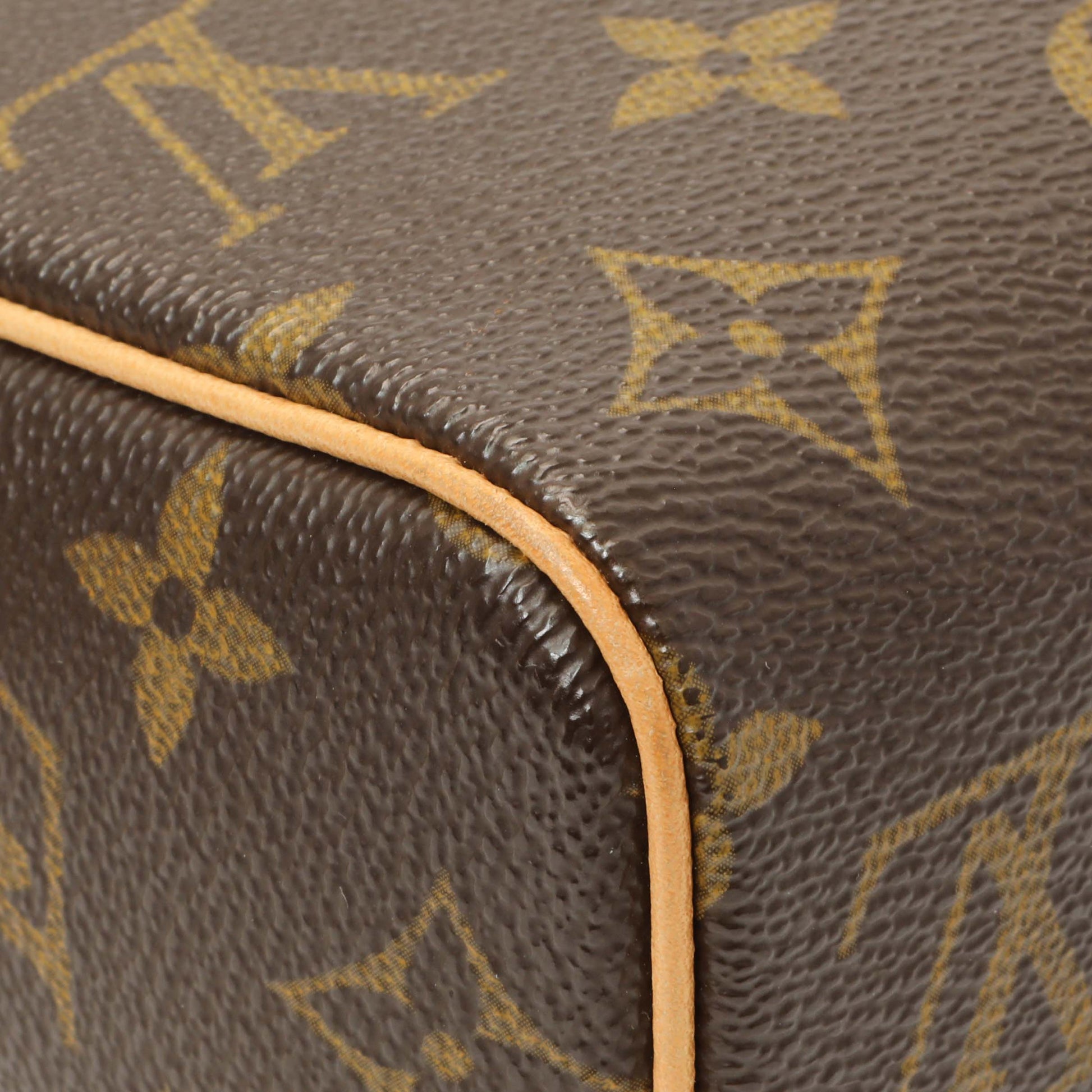 Exclusive Louis Vuitton Monogram Recital — Lifestyle View