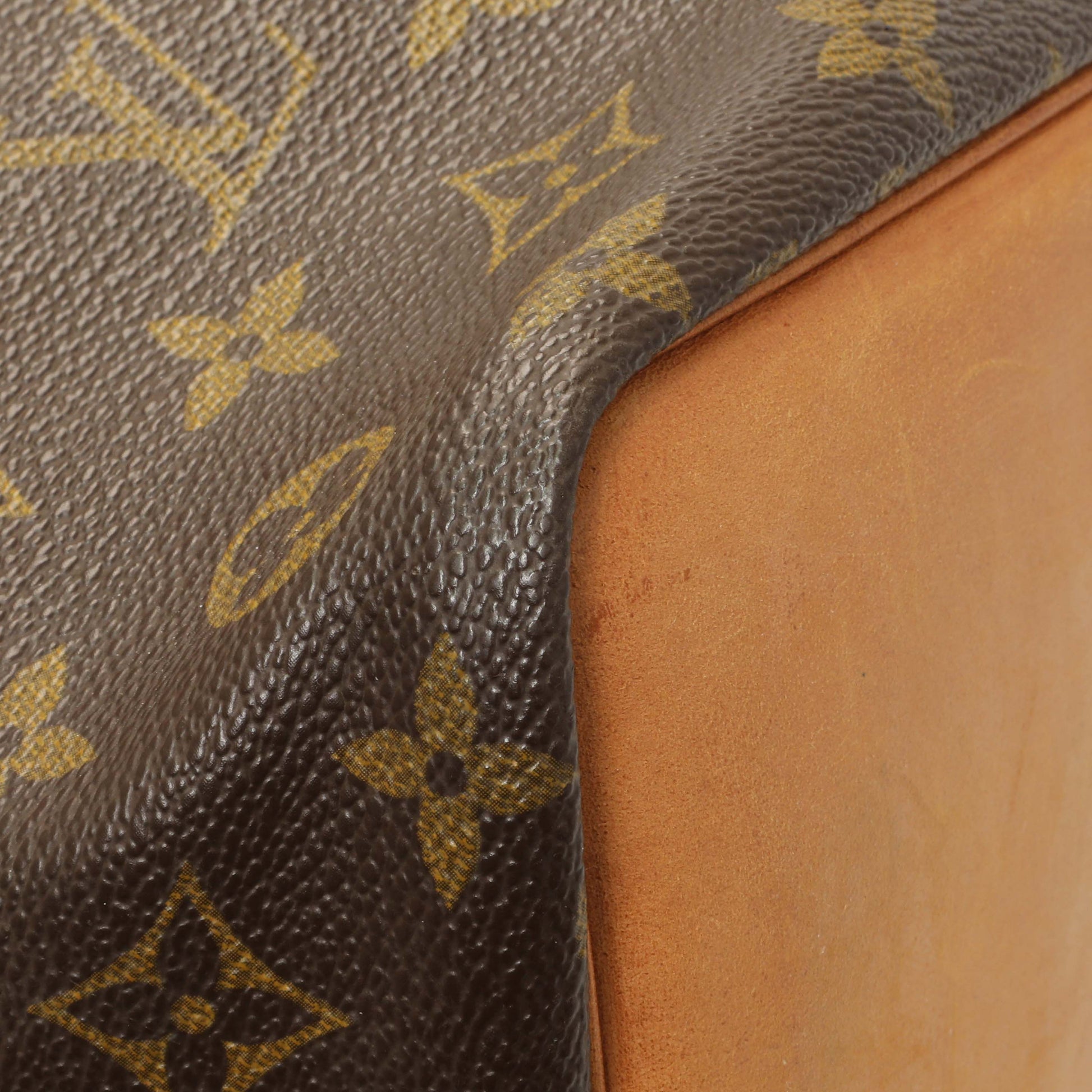 Exclusive Louis Vuitton Monogram Petit Noe — Lifestyle View