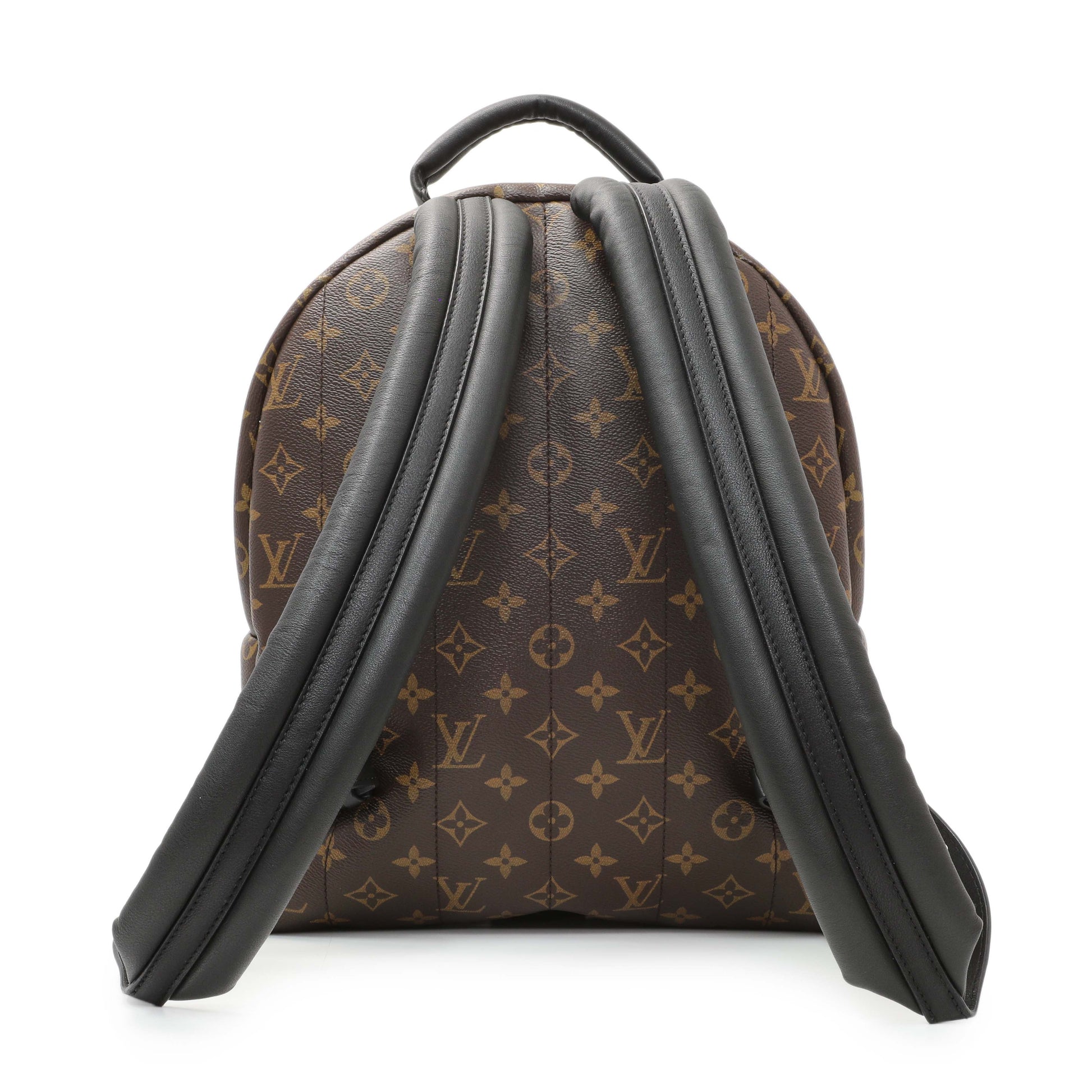 Exclusive Louis Vuitton Monogram Palm Springs MM Backpack — Side View