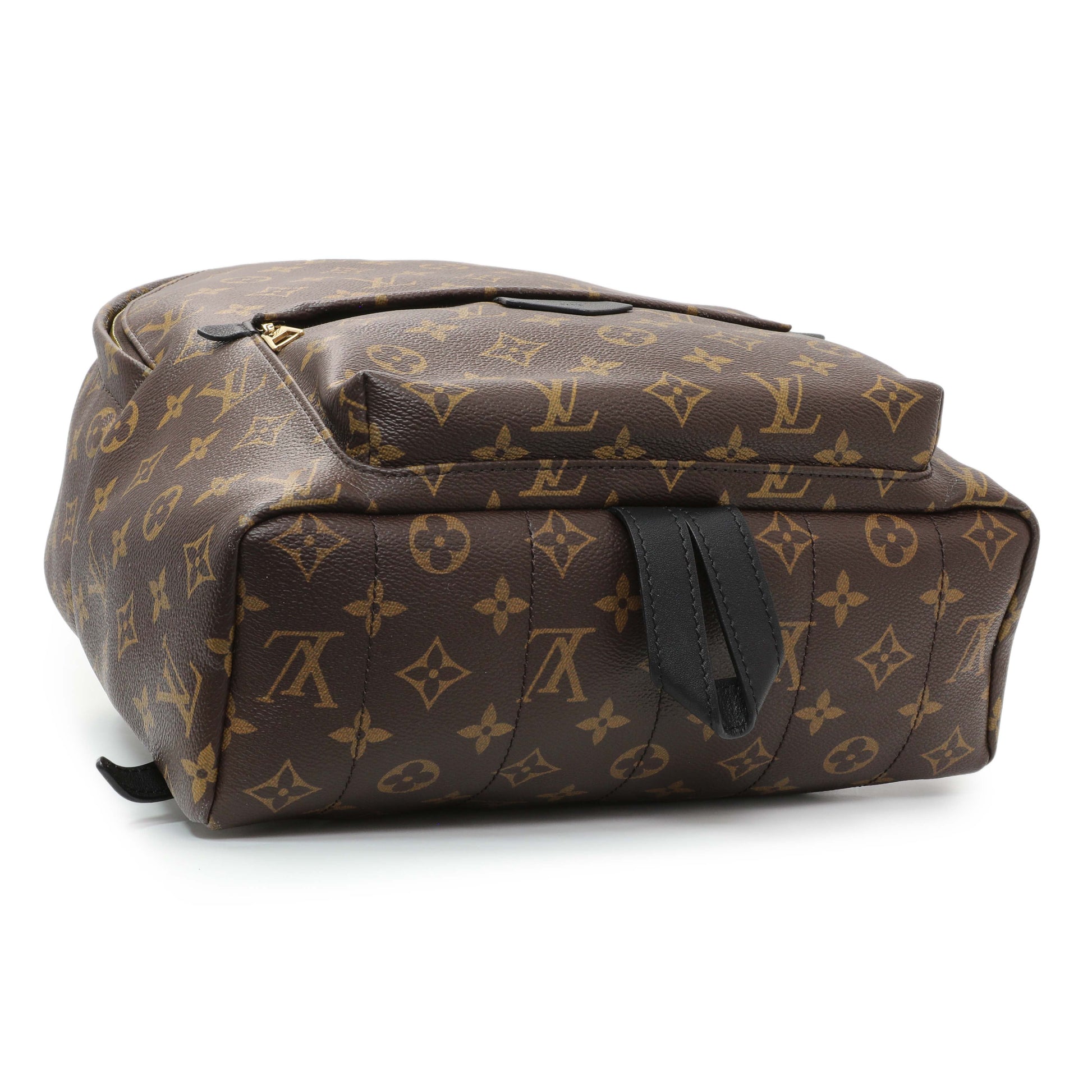 Exclusive Louis Vuitton Monogram Palm Springs MM Backpack — Back View