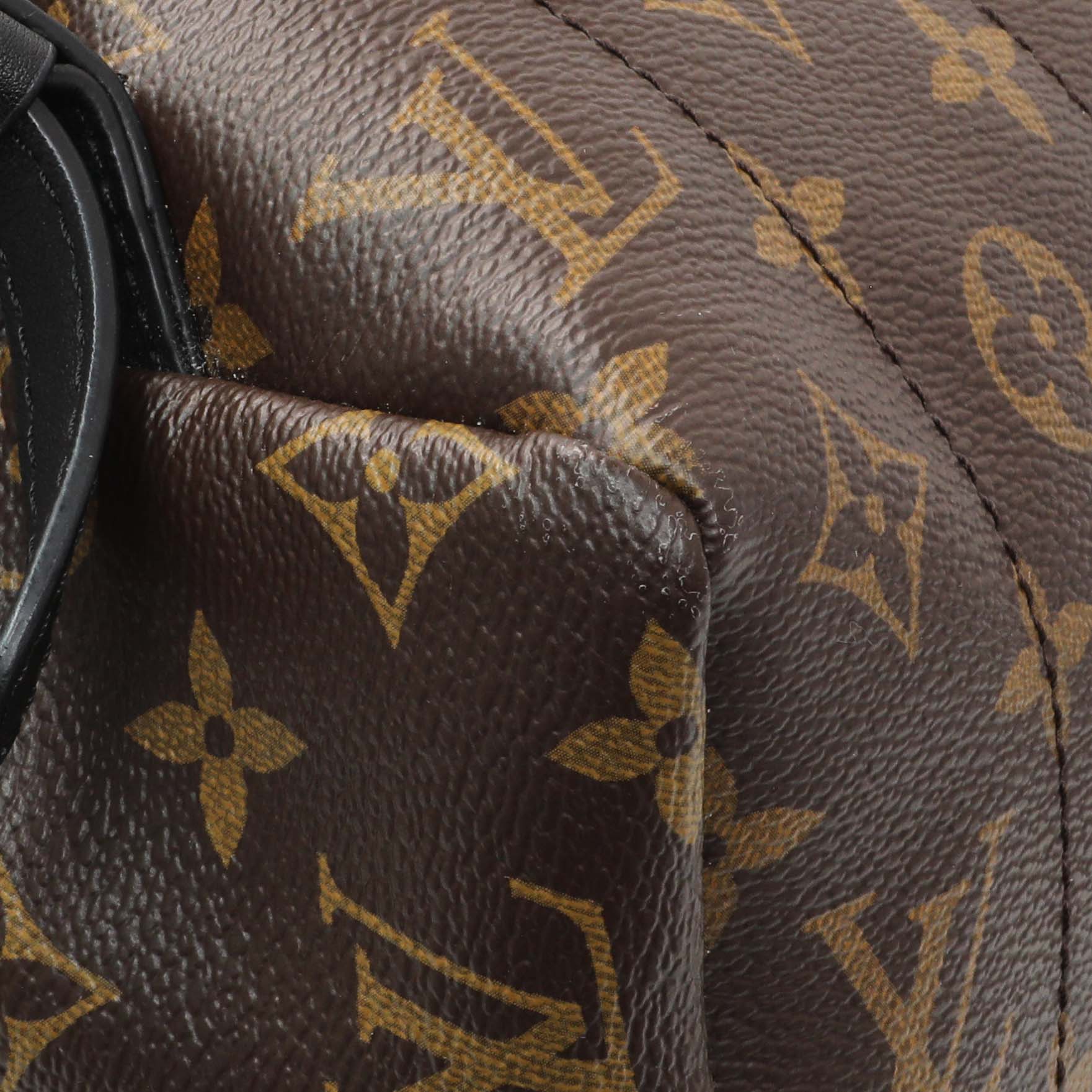 Exclusive Louis Vuitton Monogram Palm Springs MM Backpack — Lifestyle View
