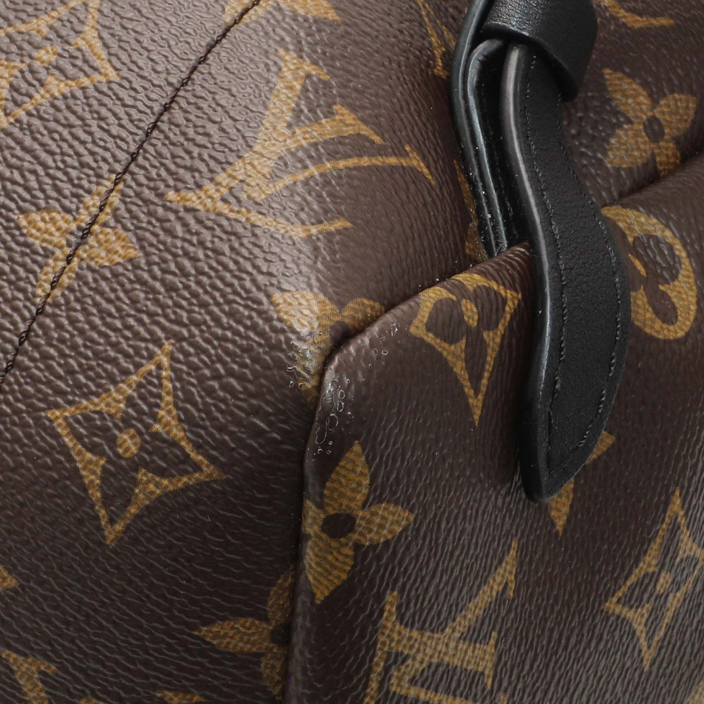 Exclusive Louis Vuitton Monogram Palm Springs MM Backpack — Alternate View 7