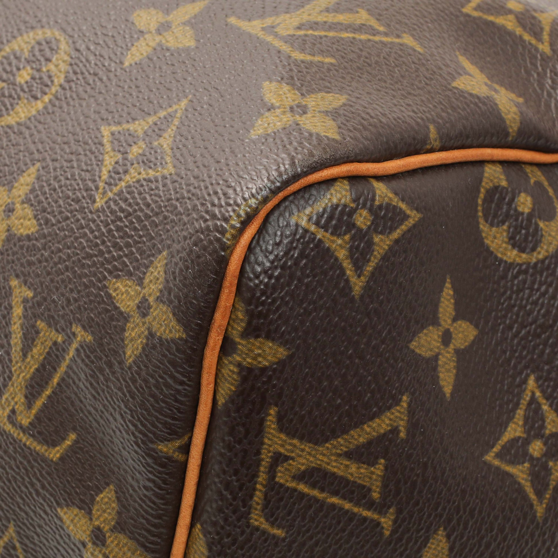 Exclusive Louis Vuitton Monogram Speedy 30 — Detail View