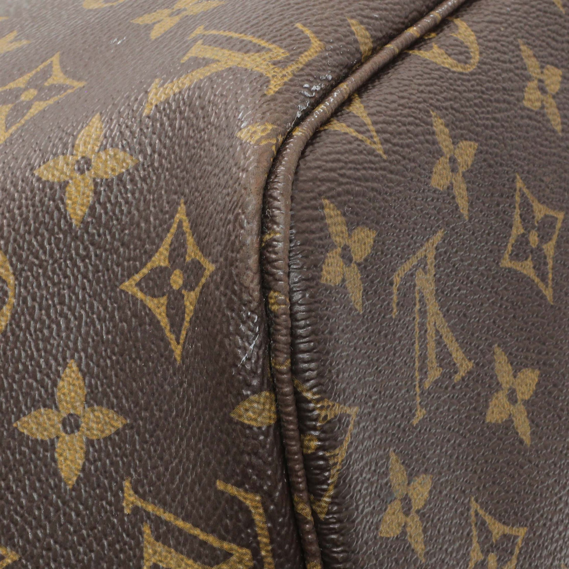 Exclusive Louis Vuitton Monogram Neo Neverfull MM — Lifestyle View