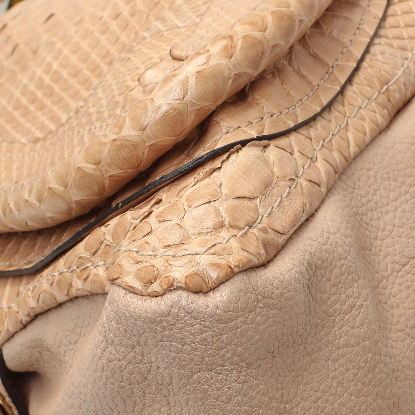 Exclusive Chloe Nude Python Medium Paraty — Top View