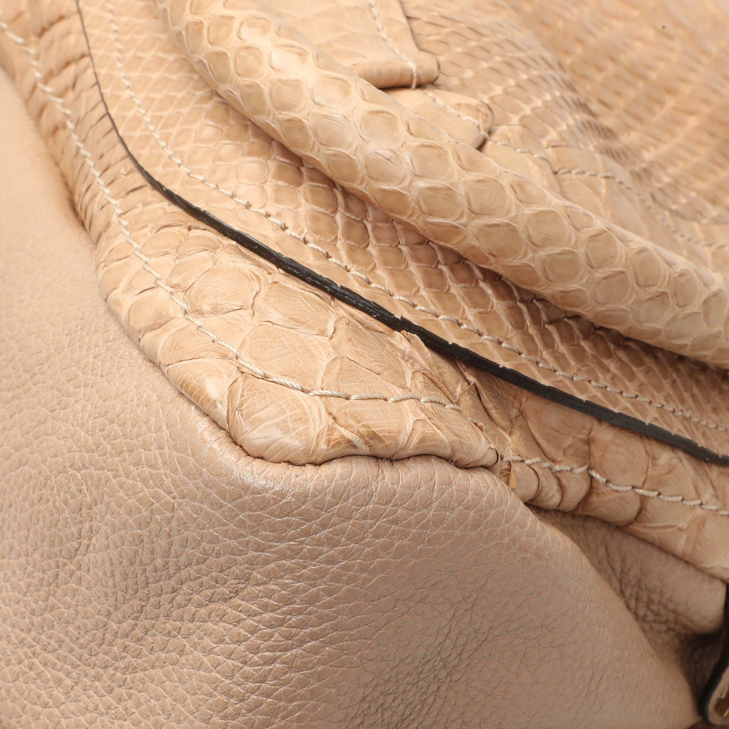 Exclusive Chloe Nude Python Medium Paraty — Lifestyle View